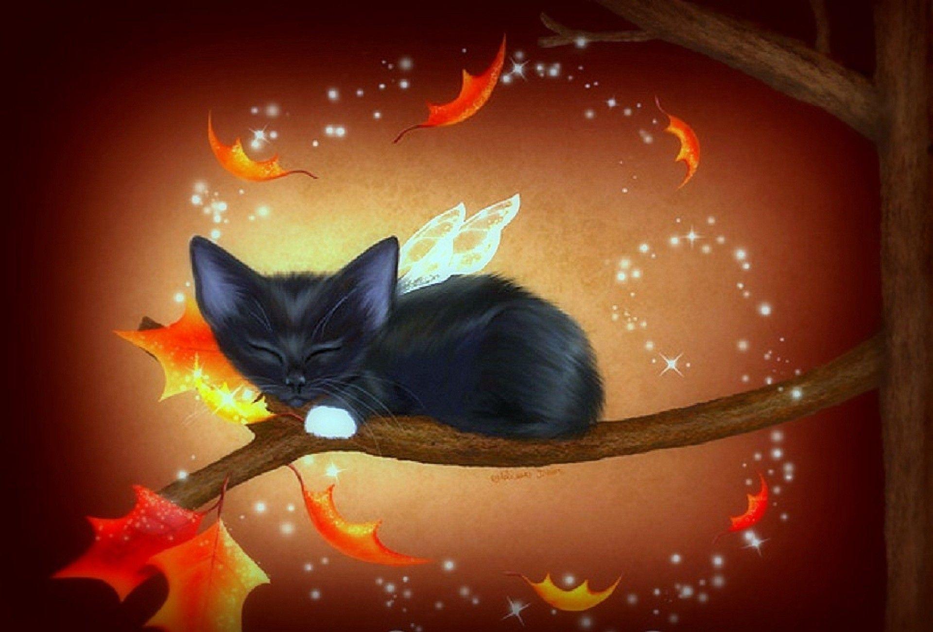 Fall Cat Wallpapers - Top Free Fall Cat Backgrounds - WallpaperAccess