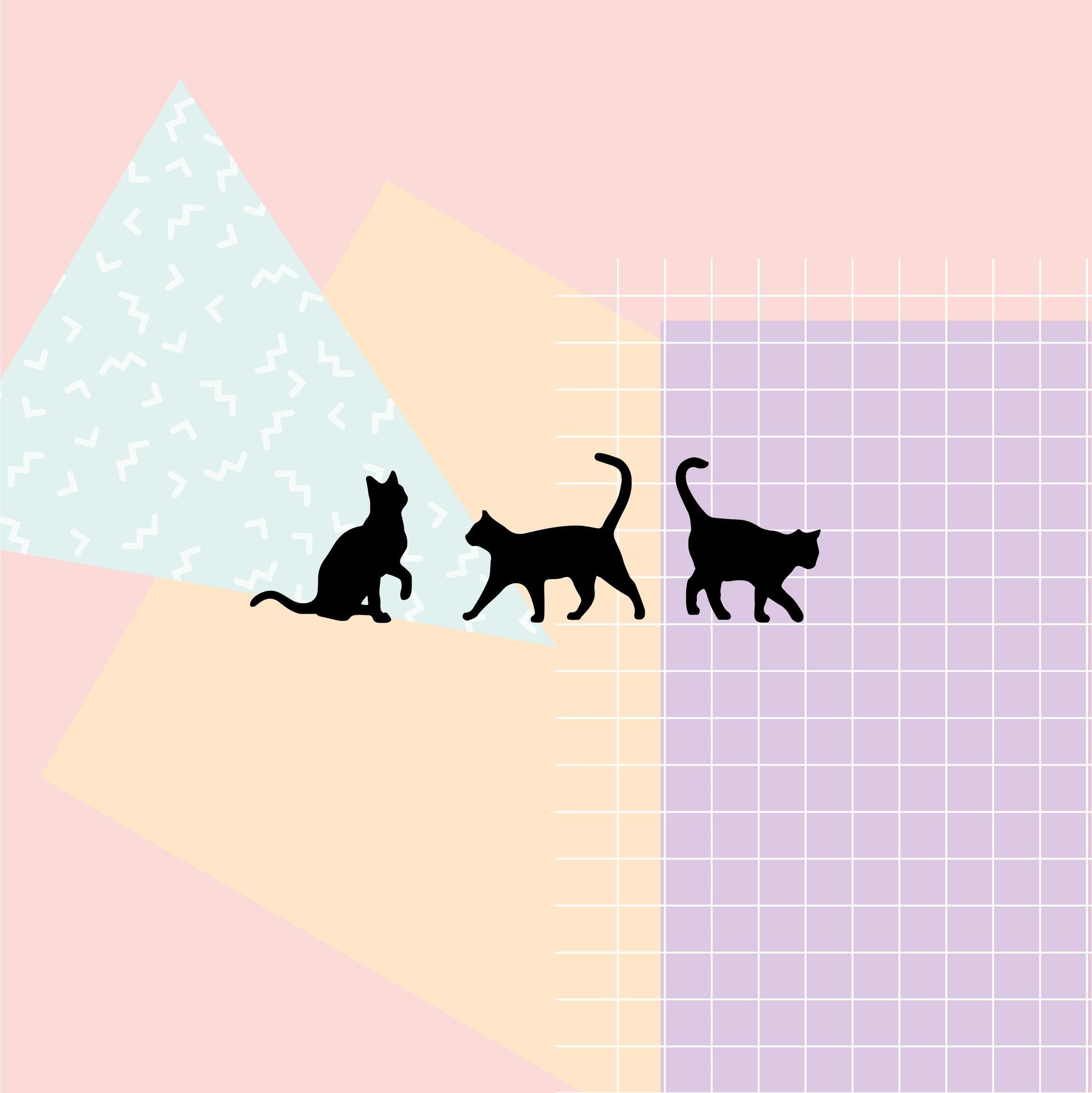 2395x2397 Cat Desktop Wallpaper, Picture