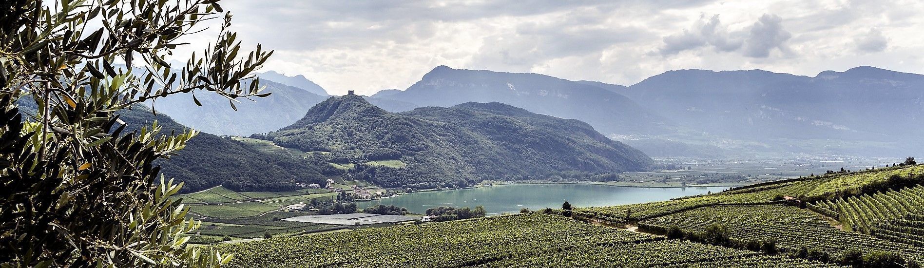 1896x550 Wine Road / Südtiroler Unterland