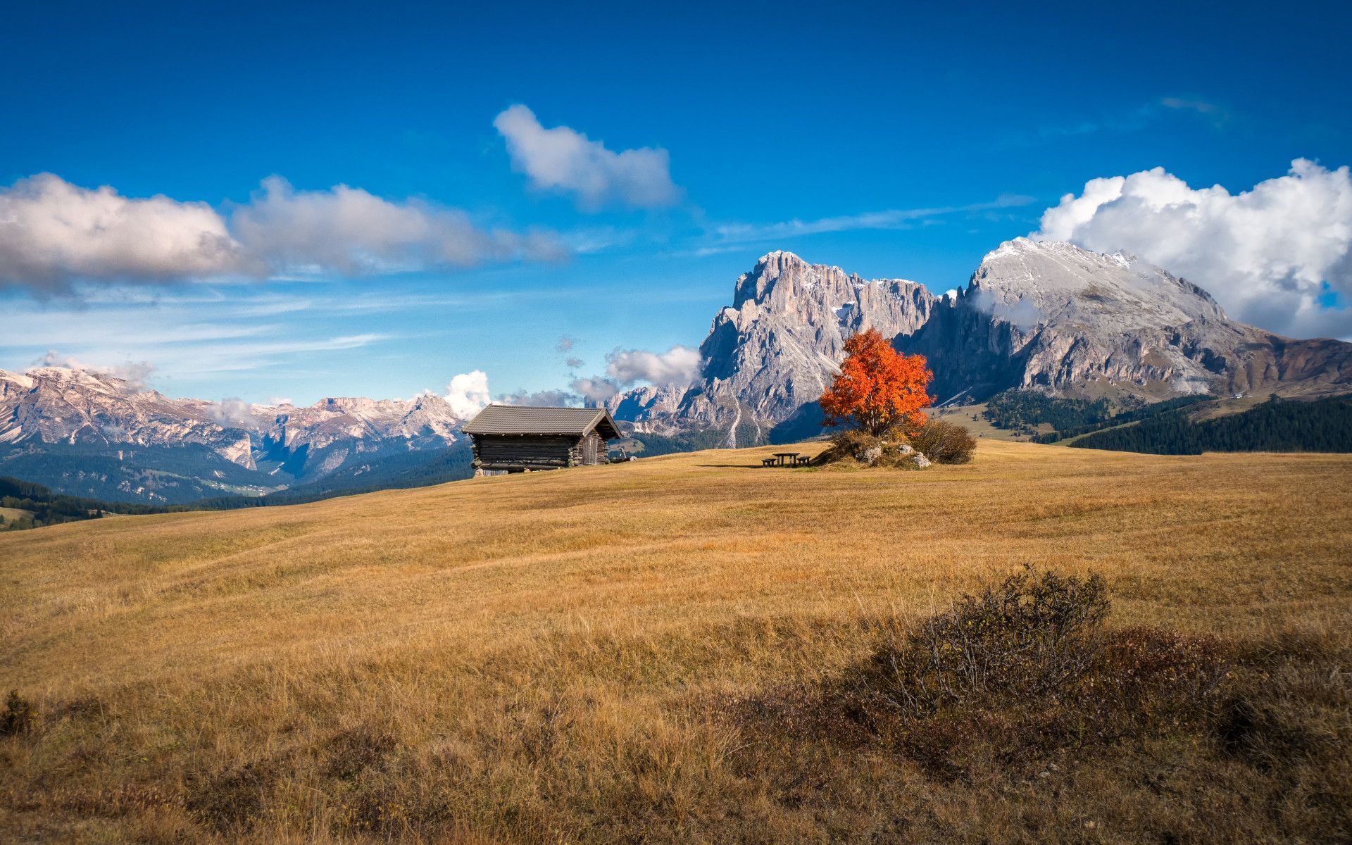 1920x1200 Perfect Autumn landscape