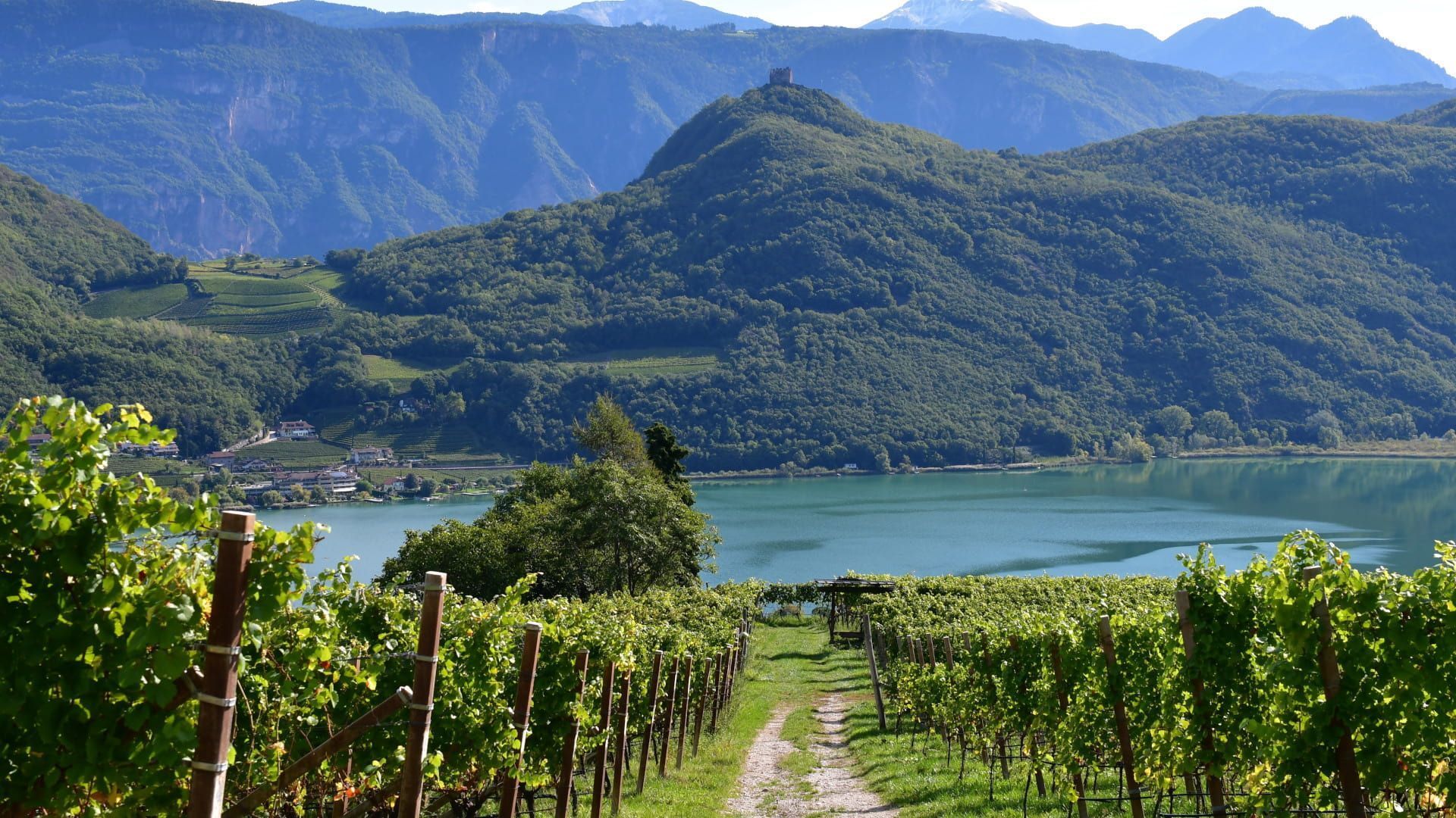 1920x1080 South Tyrol Cycling Holidays & Bike