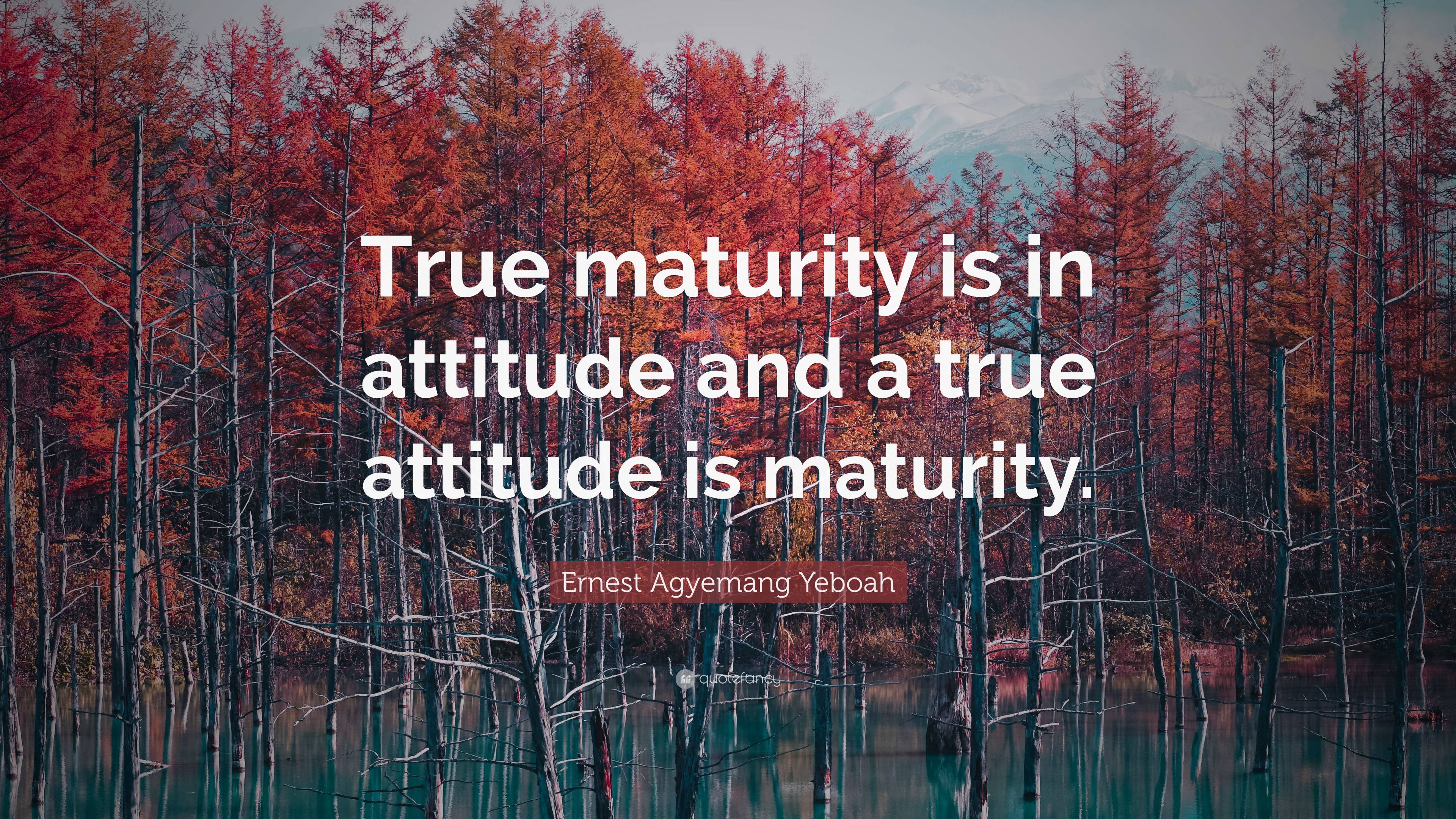 Maturity Background Maturity Wallpapers - Top Free Maturity Backgrounds - WallpaperAccess