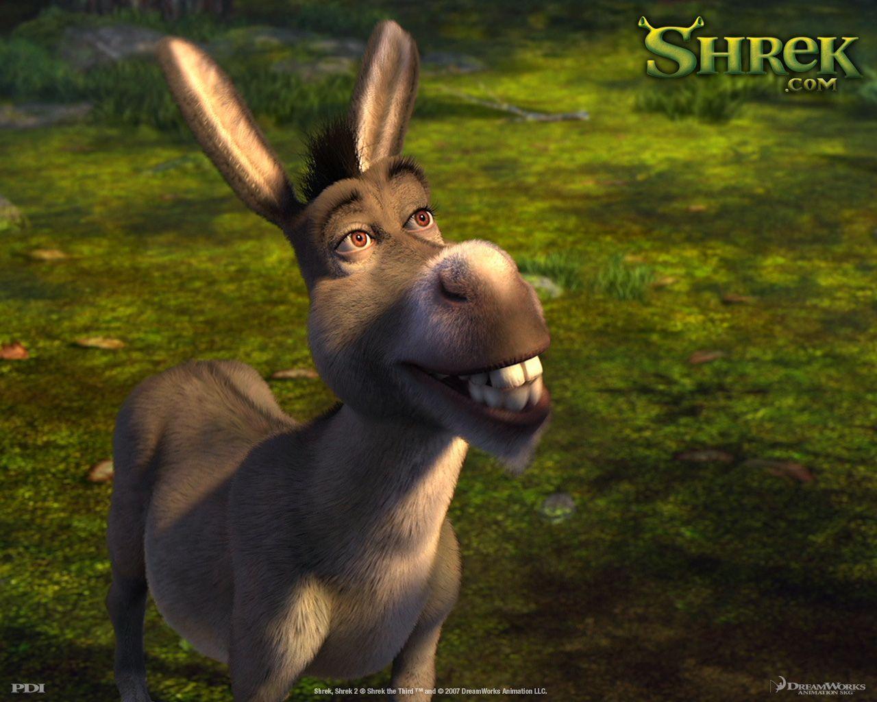 1280x1024 Donkey Wallpaper