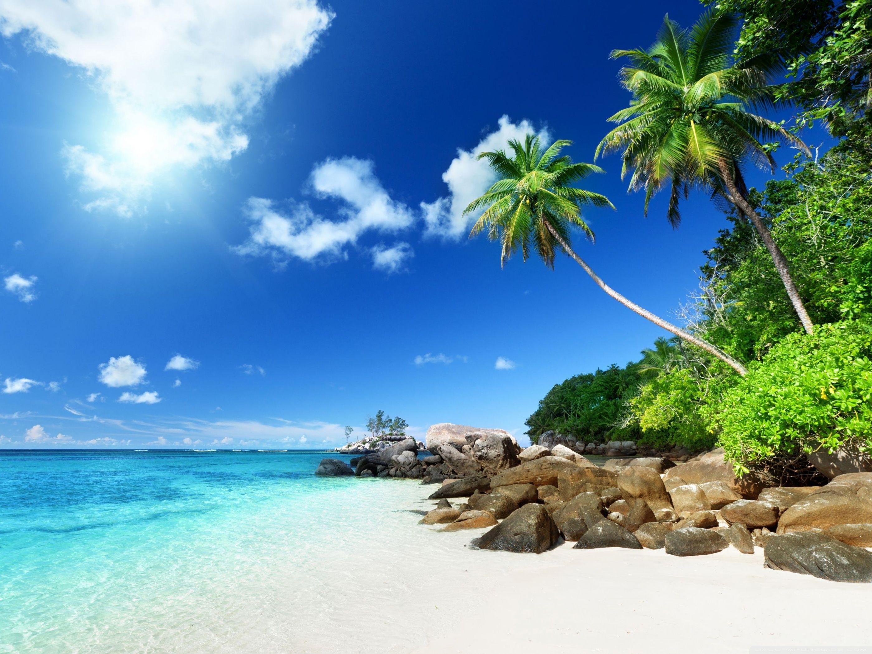 Tropical Beach Paradise Wallpapers Top Free Tropical Beach Paradise 