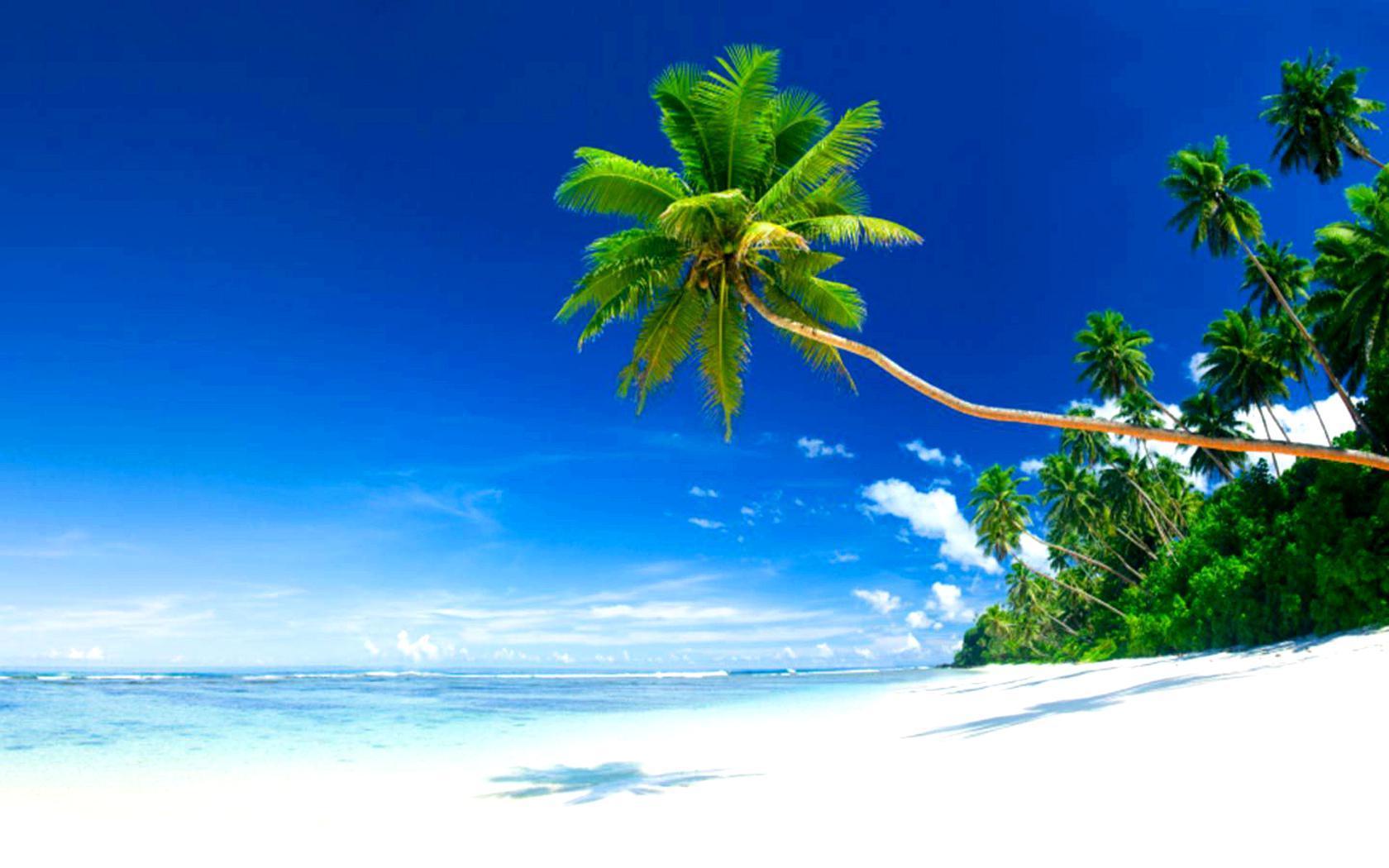 1680x1050 Paradise Beach Wallpaper HD. The Last Wallpaper