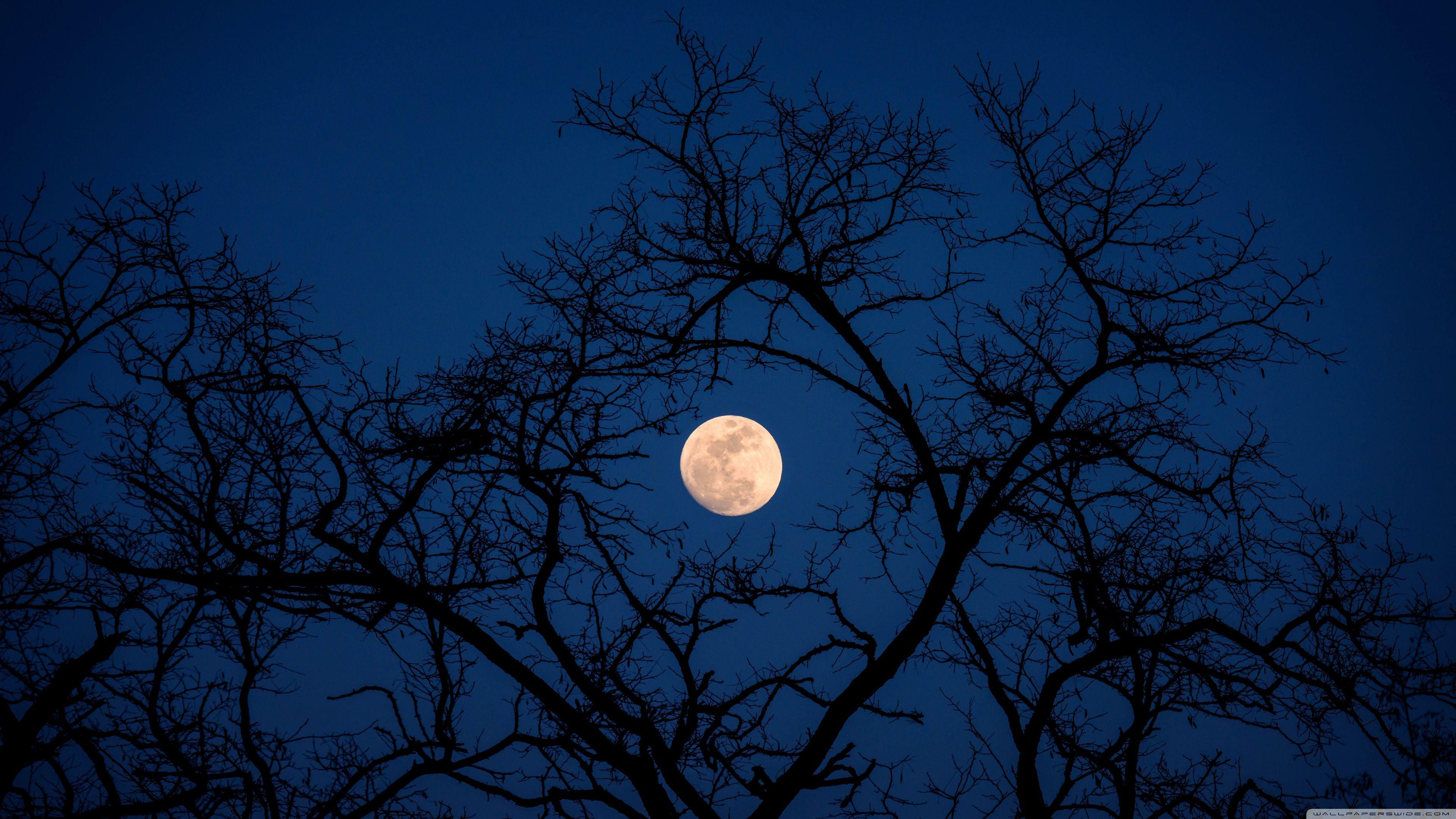 3840x2160 4k Desktop Background Moon