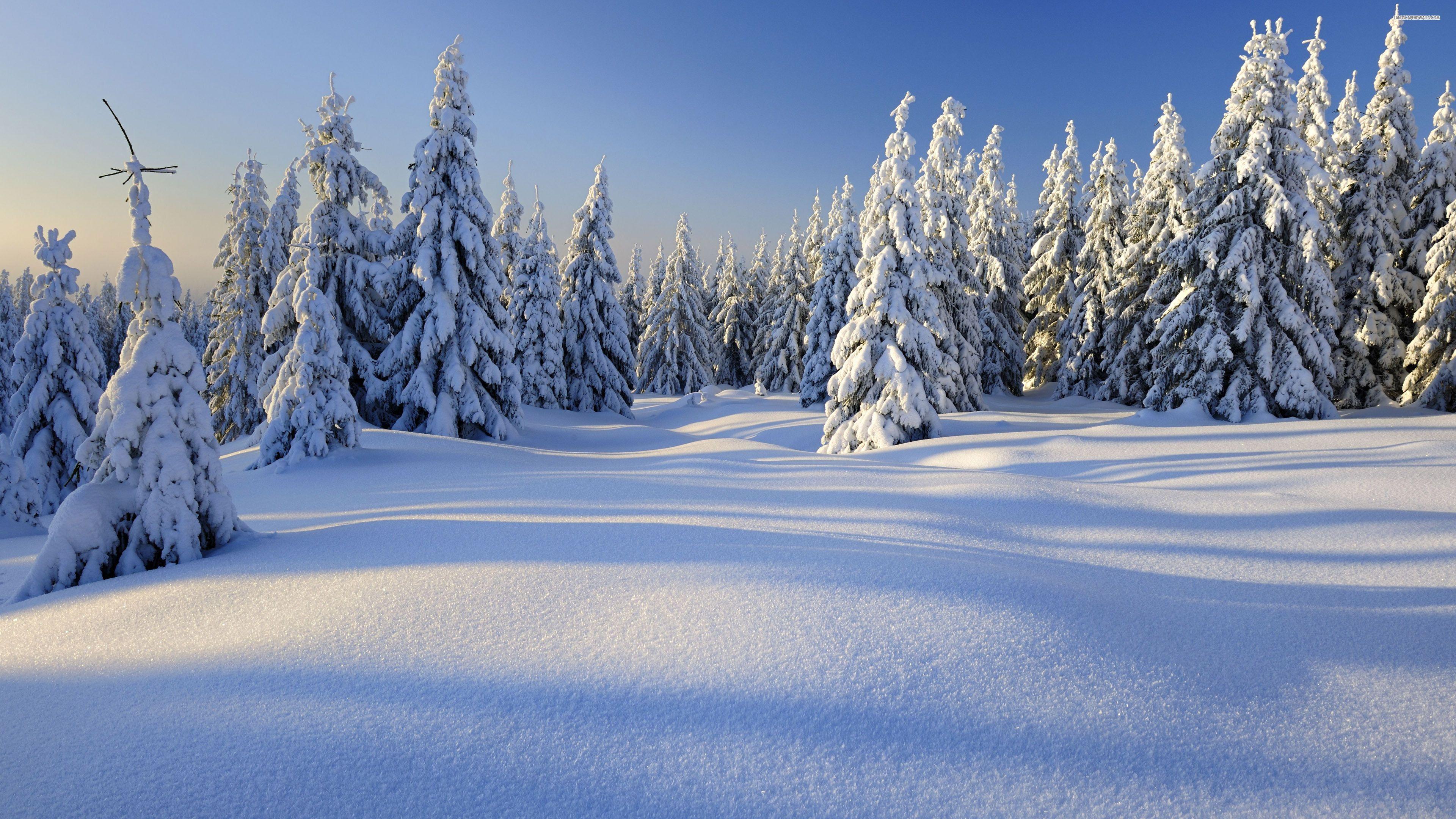 Peaceful Winter Wallpapers Top Free Peaceful Winter Backgrounds 