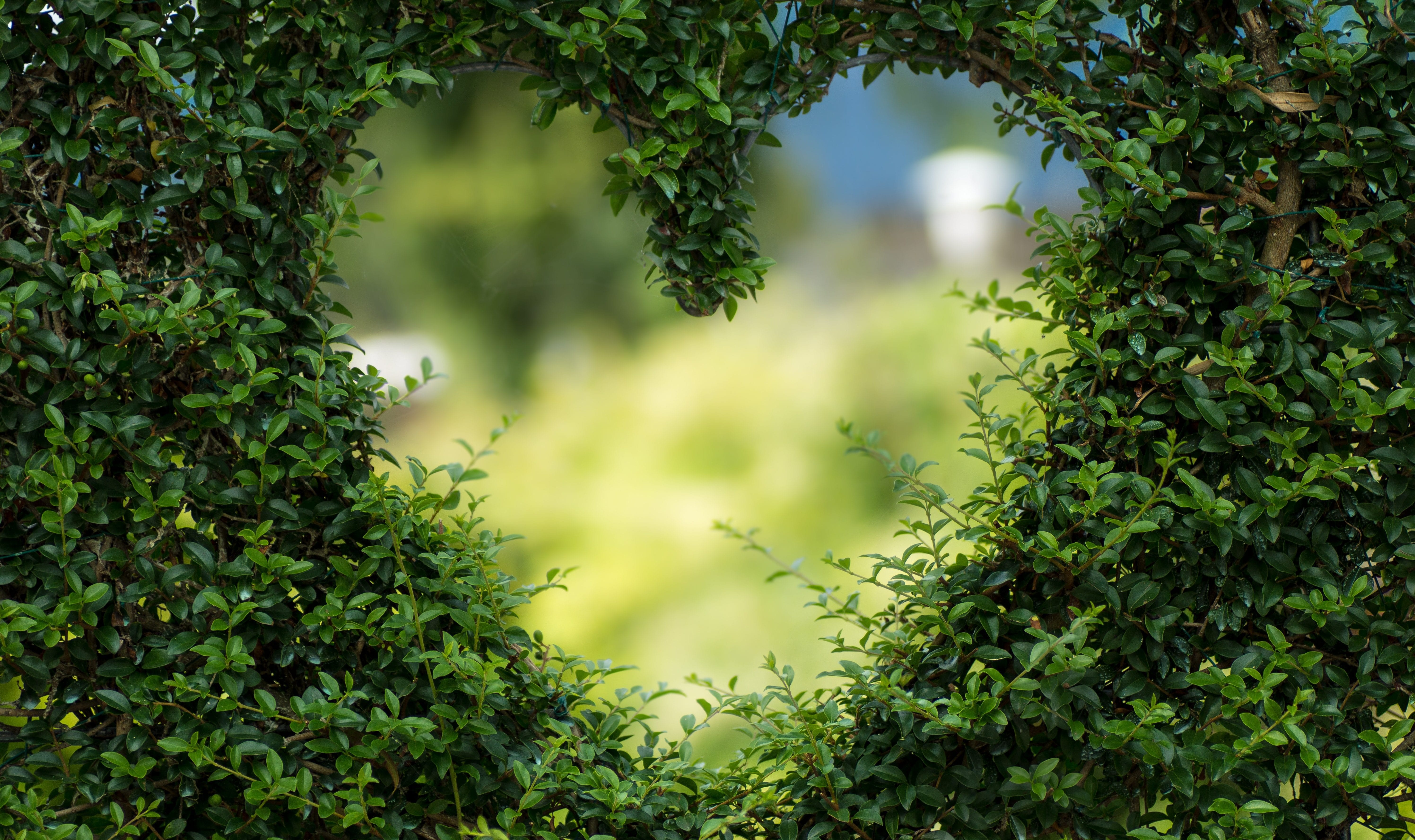 5985x3555 Art Background Blur 255441