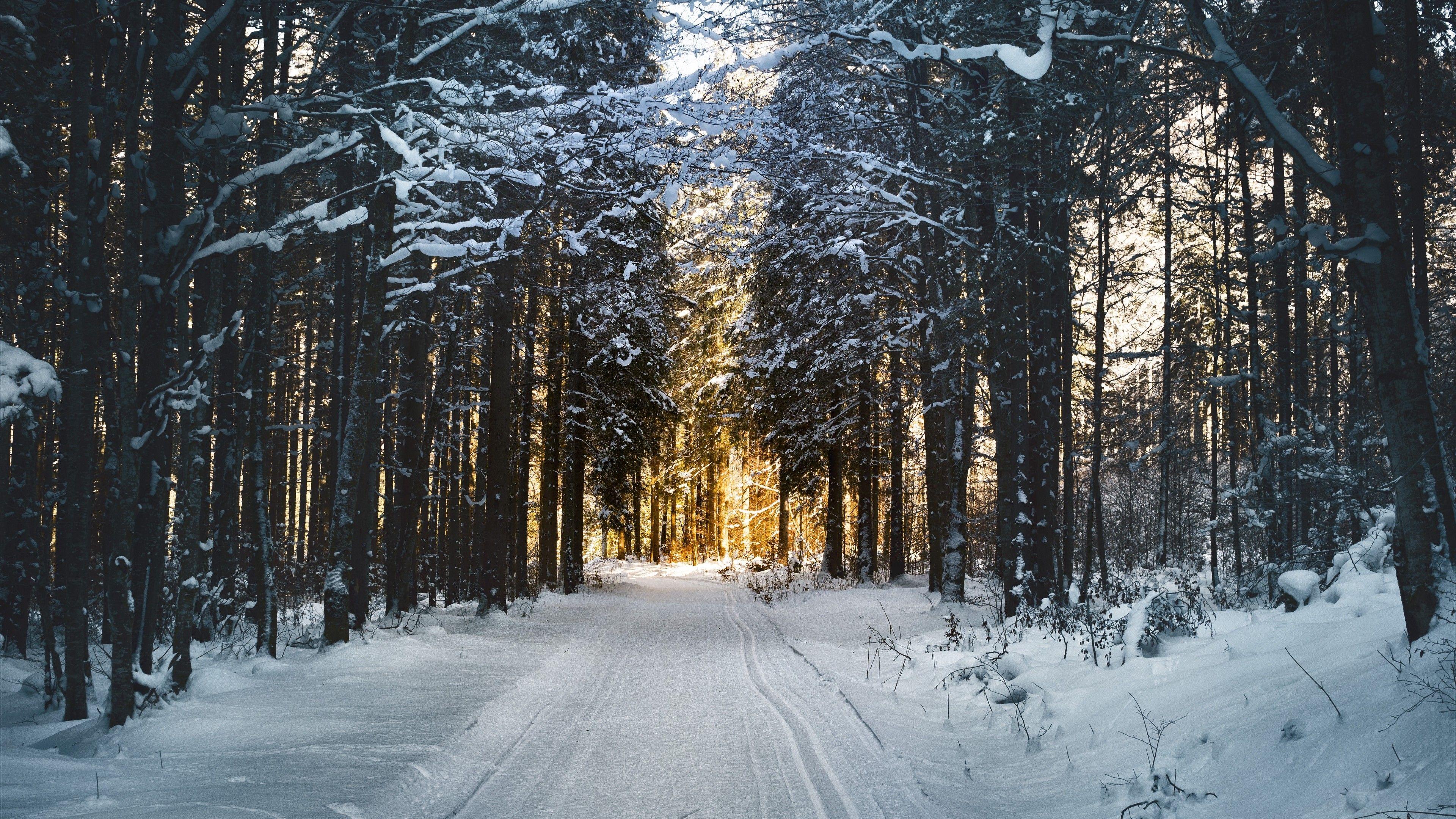 3840x2160 4K Winter Wallpaper