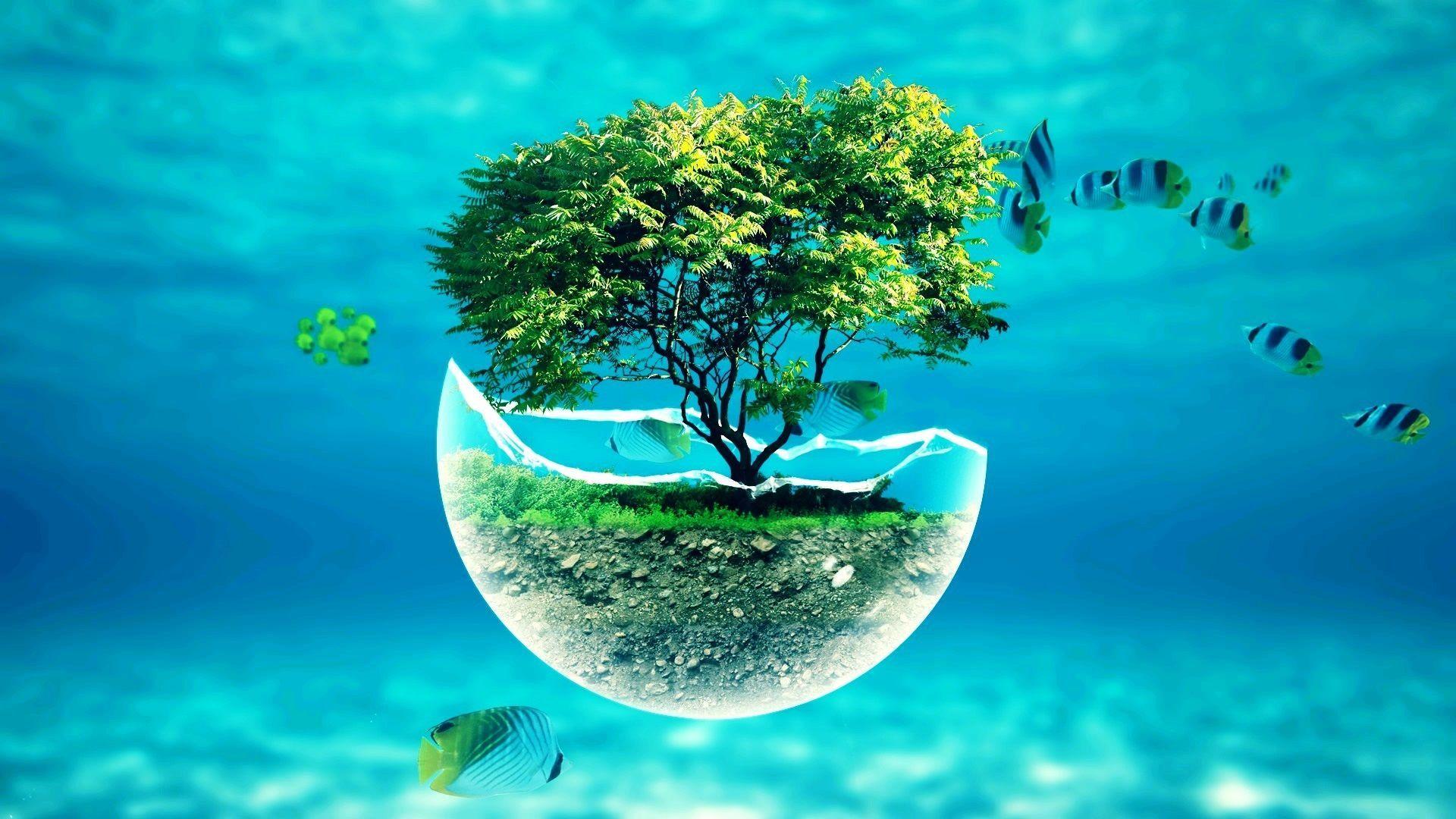 1920x1080 Underwater Widescreen Desktop Wallpaper at