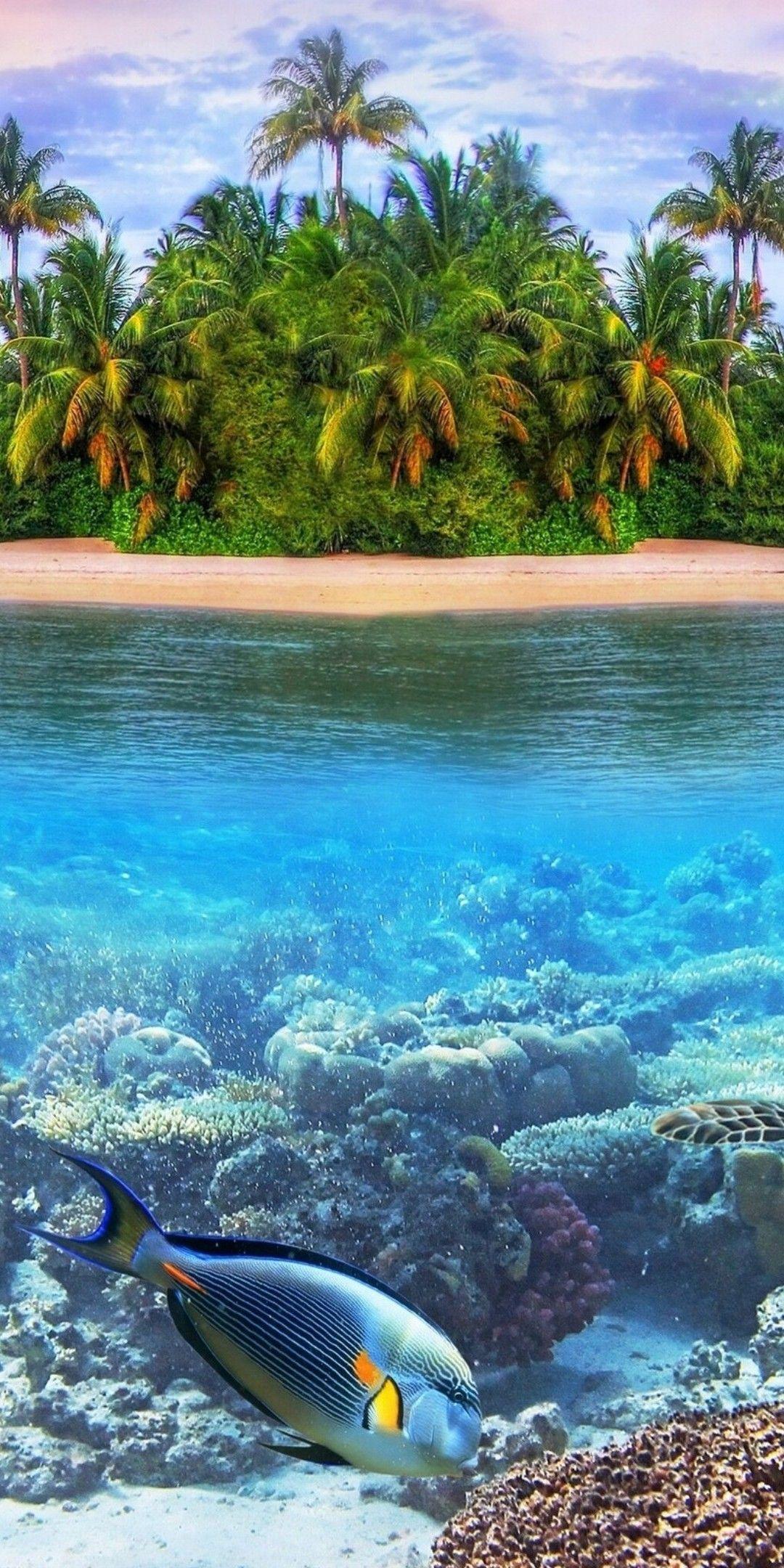 1080x2160 Underwater Ultra HD Wallpaper [1080x2160]