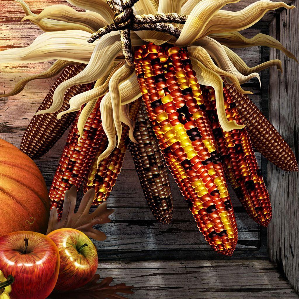 1024x1024 Harvest iPhone Wallpaper