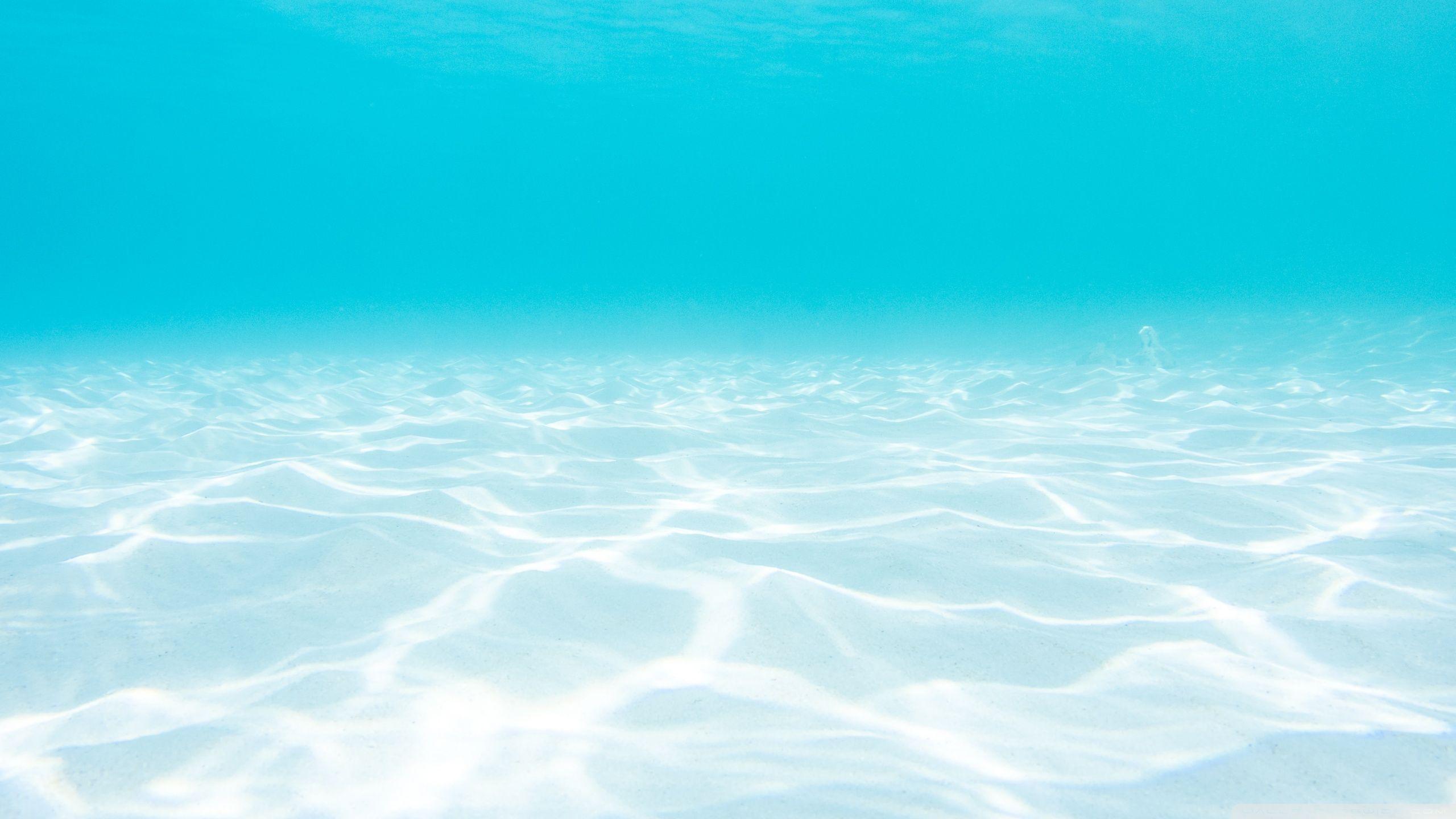 2560x1440 Ocean Underwater â ¤ 4K HD Desktop Wallpaper for 4K Ultra HD