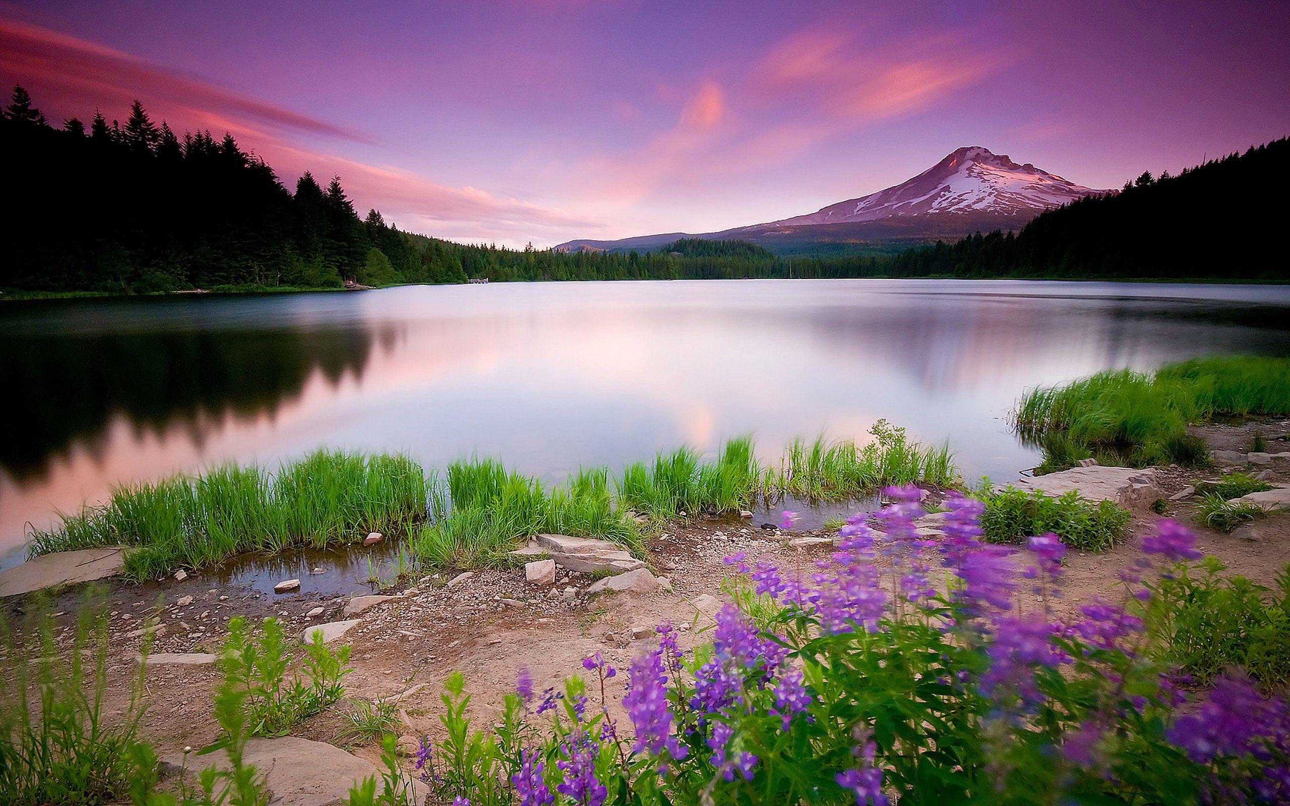 2560x1600 Super HD Wallpaper