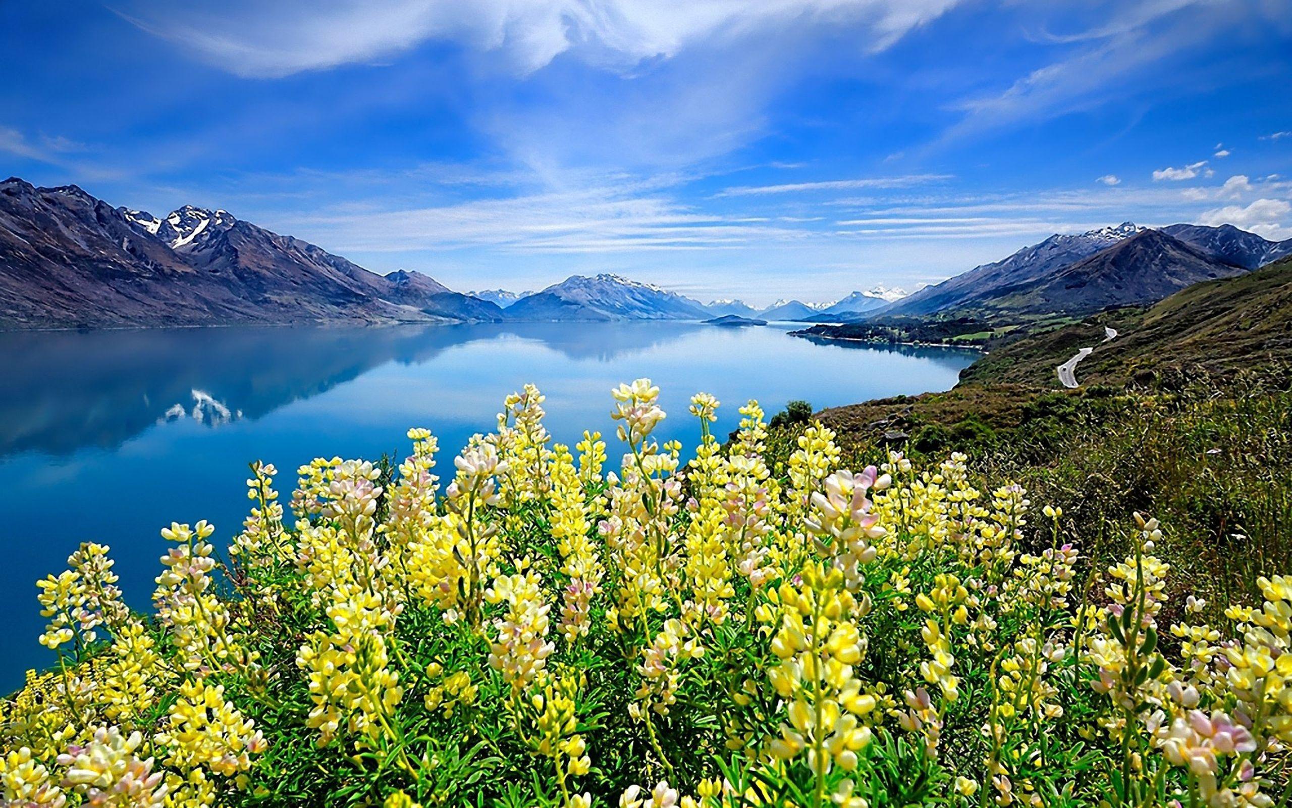 2560x1600 Landscape Lake Mountains Background Meadow Yellow Flowers
