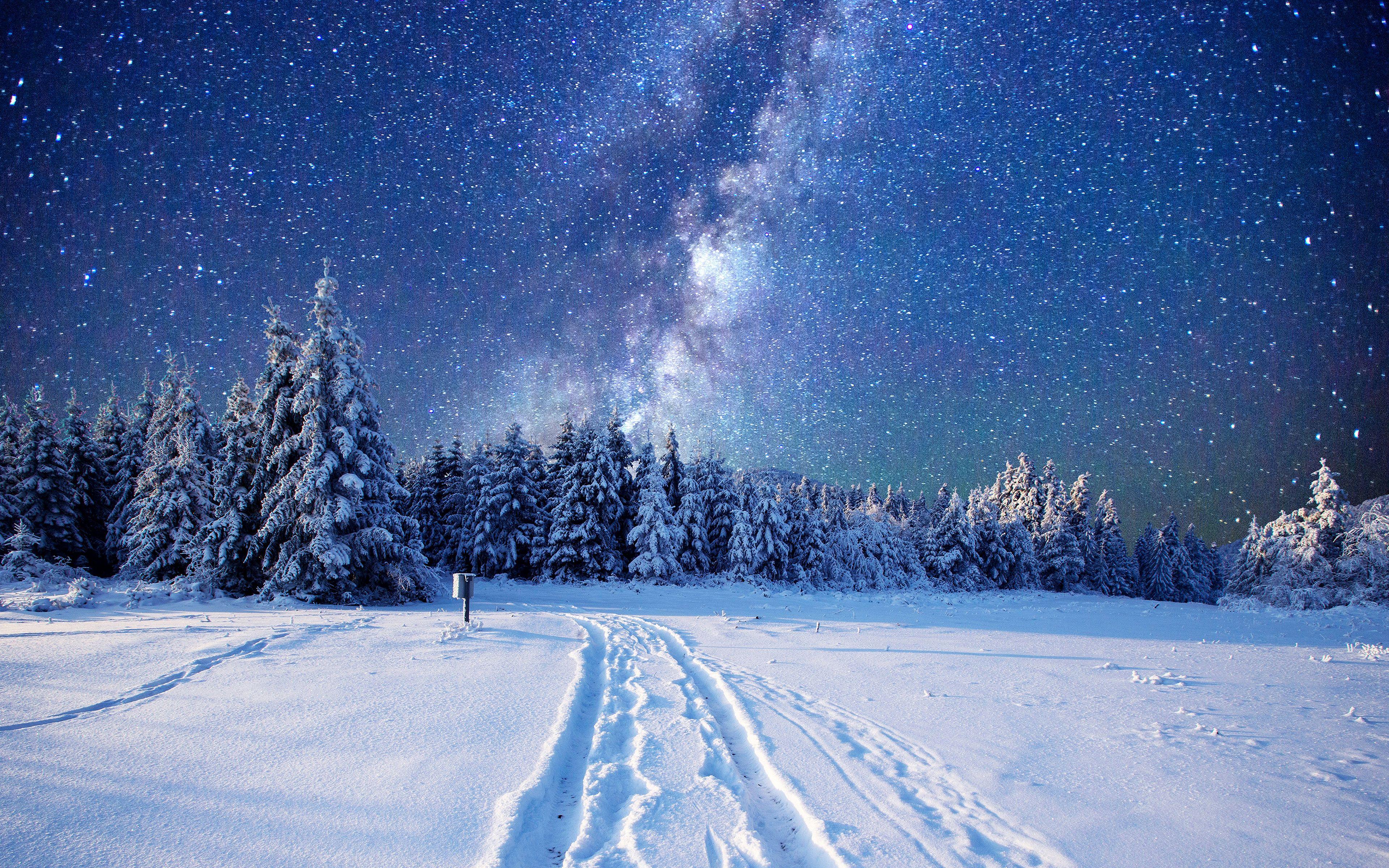 3840x2400 Winter 4k Ultra HD Wallpaper Night Landscape, HD