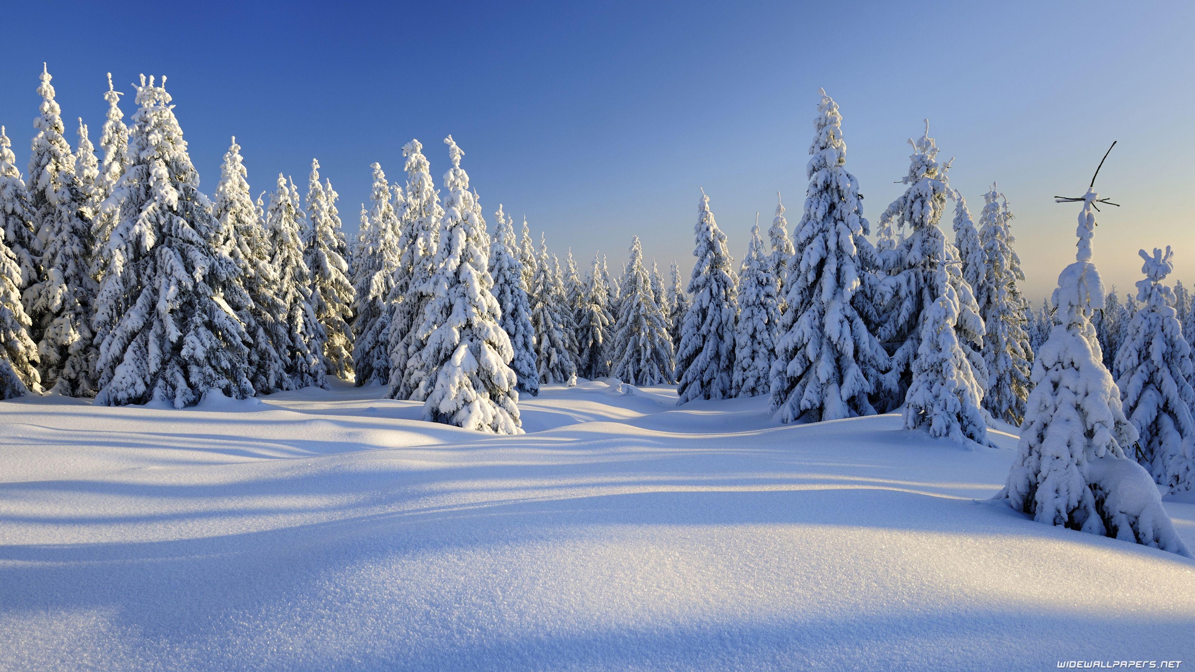 3840x2160 Winter Wallpaper Deskx2160