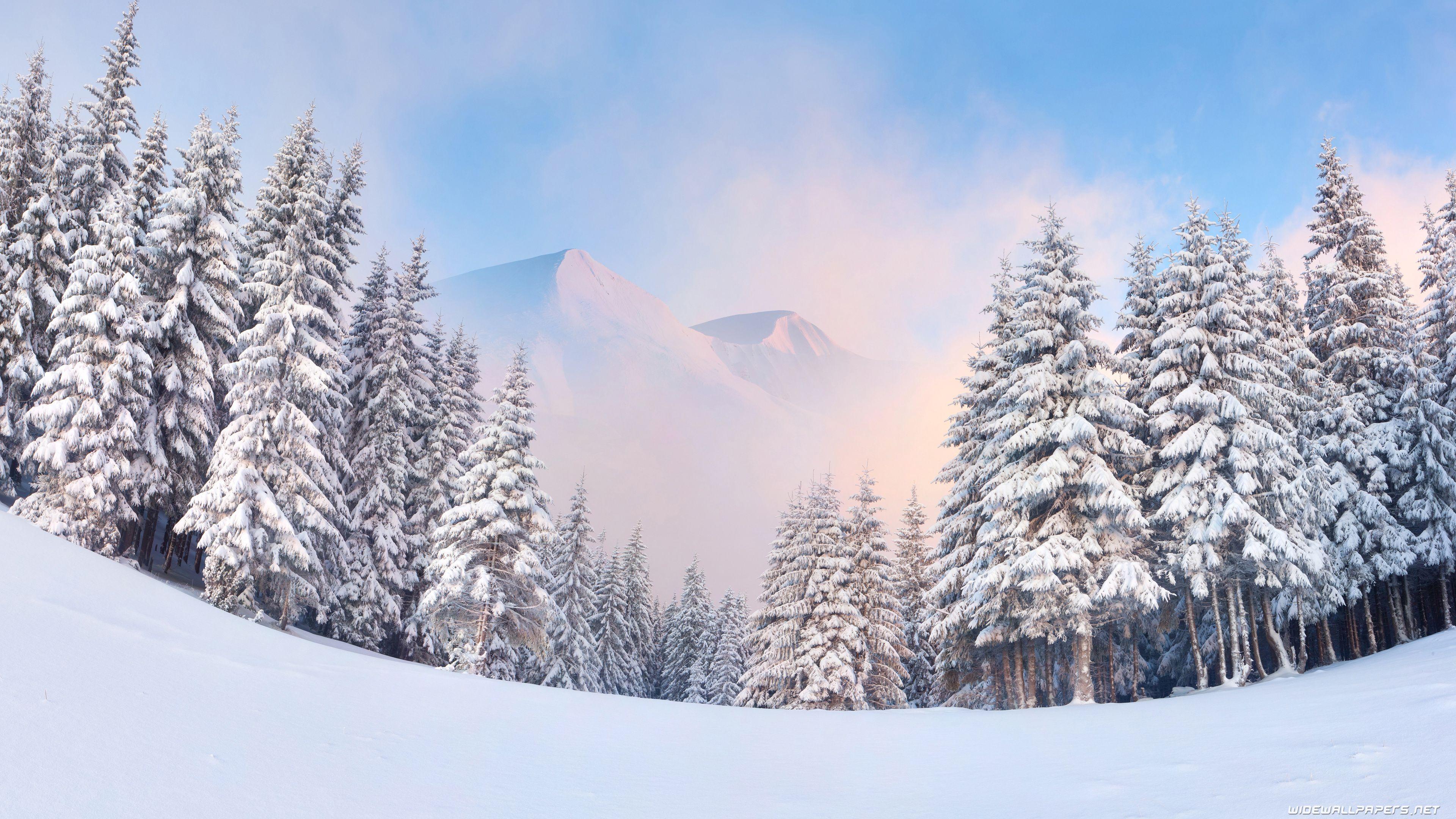 3840x2160 Winter desktop wallpaper 4K Ultra HD