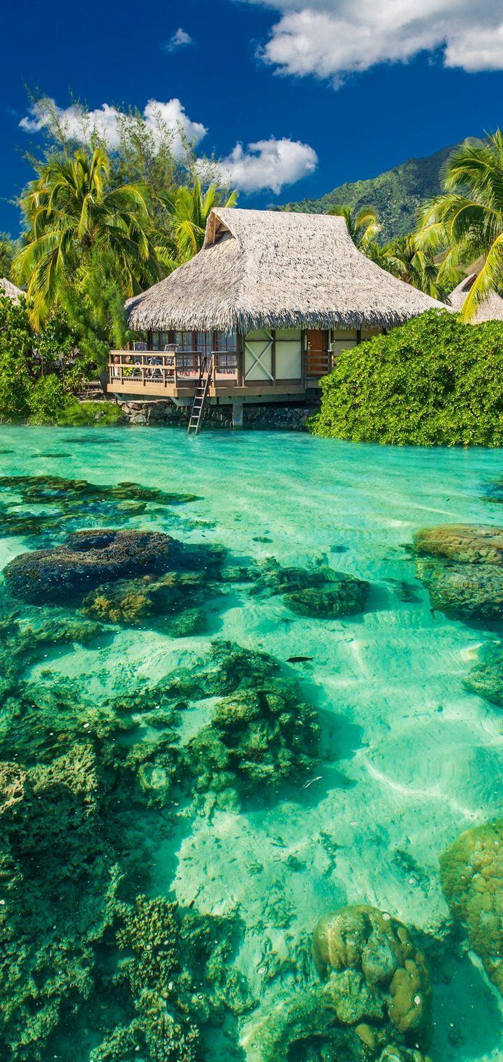 720x1520 Ocean Tropical Sunshine Paradise Hình nền - [720x1520)
