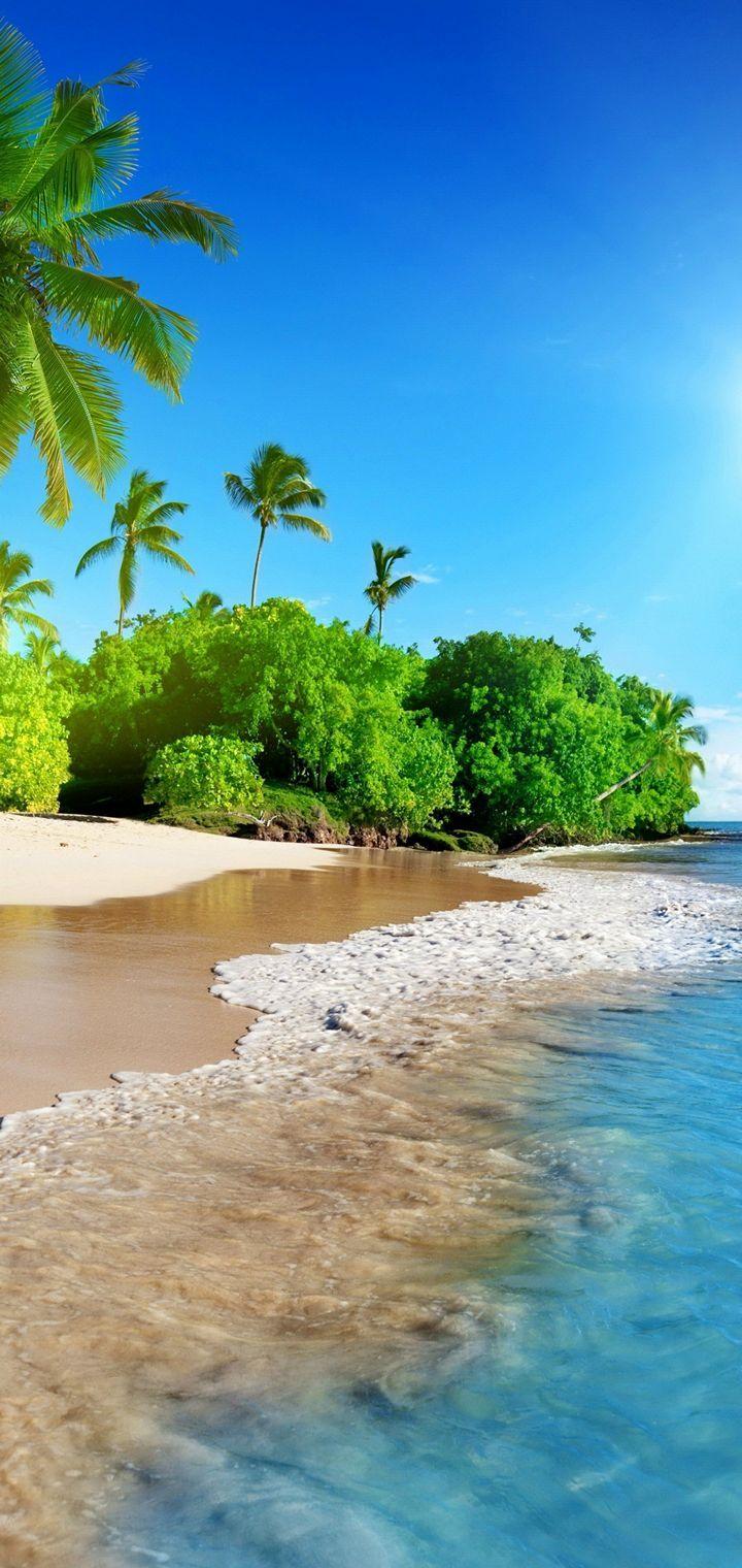 720x1520 Sunshine Beach Coast Tropical Paradise Hình nền - [720x1520)
