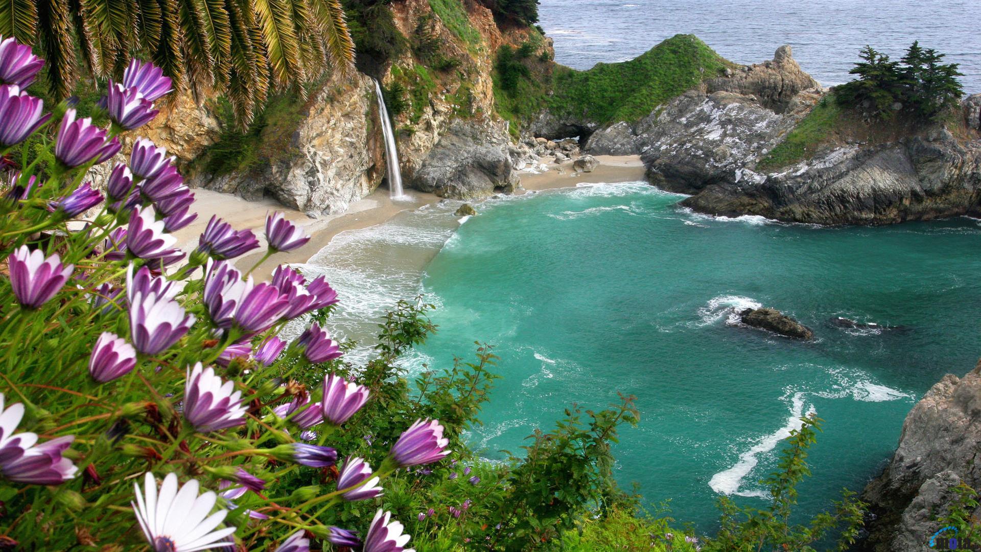1920x1080 High Definition Collection: Tropical Paradise, 32 Full HD