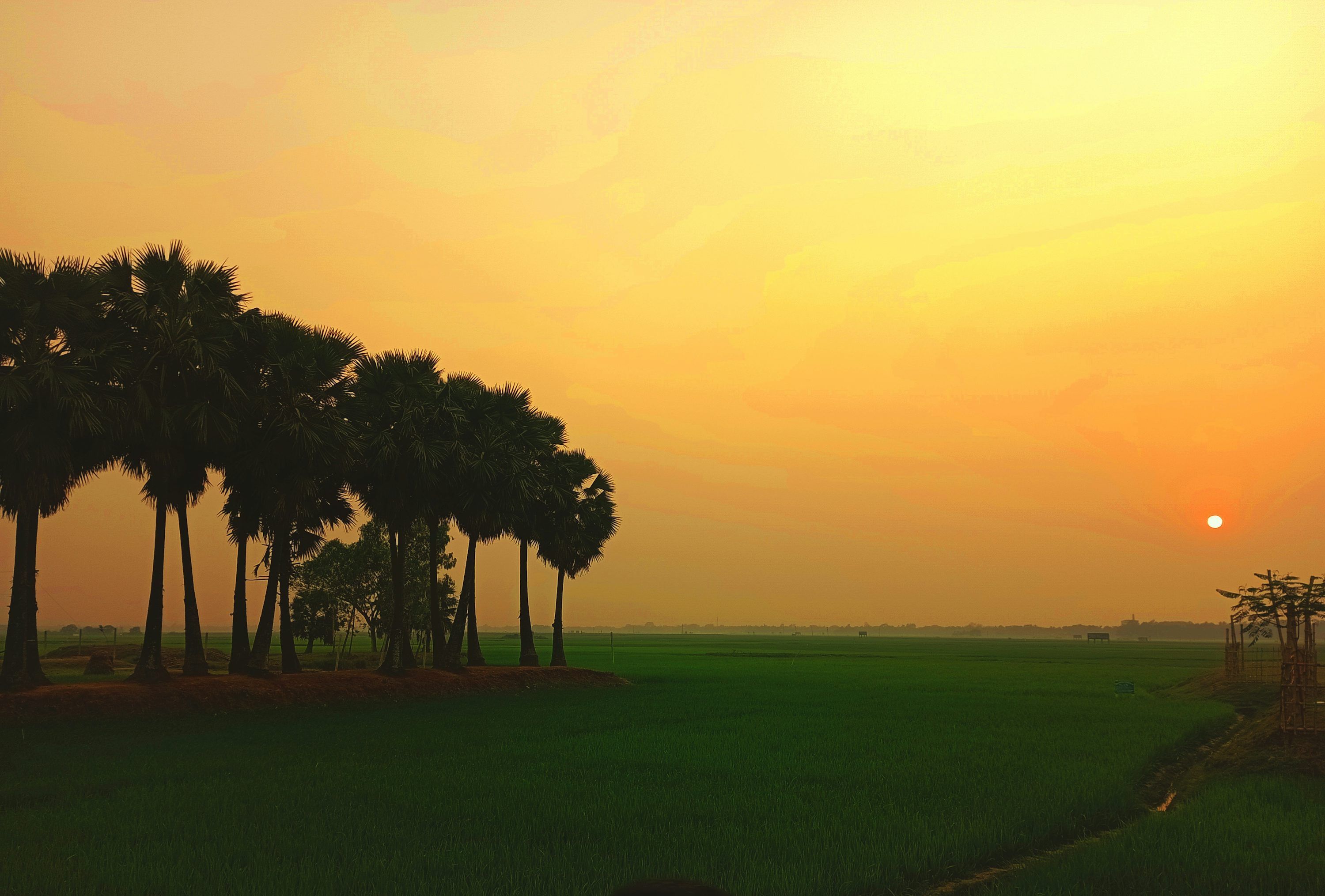 3000x2029 Village In Bangladesh Picture