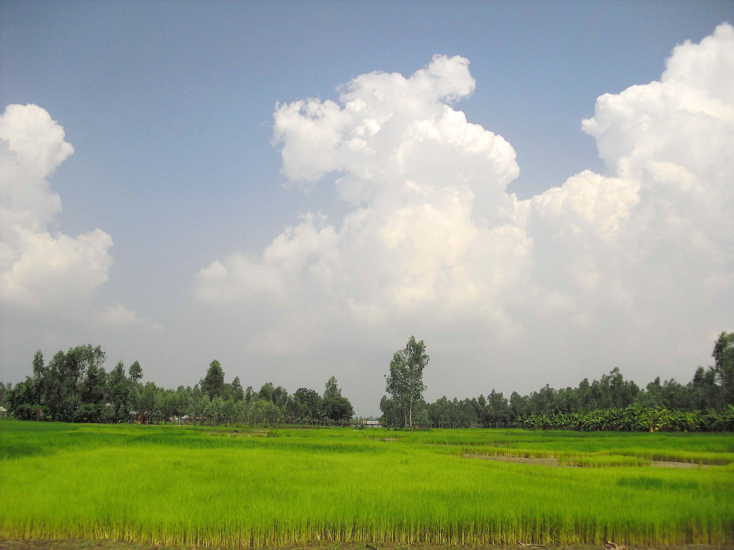 2500x1875 Bangladesh Wallpaper 39 image