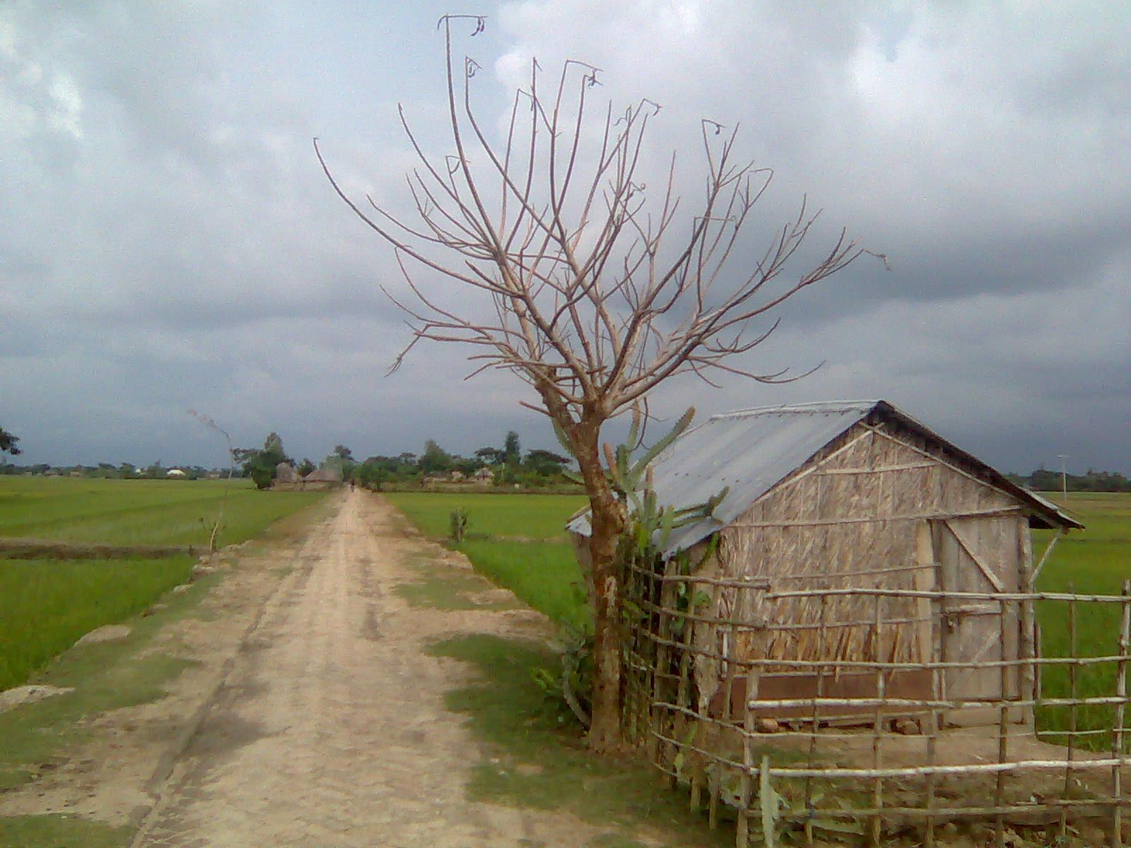 1600x1200 Natural view of Village
