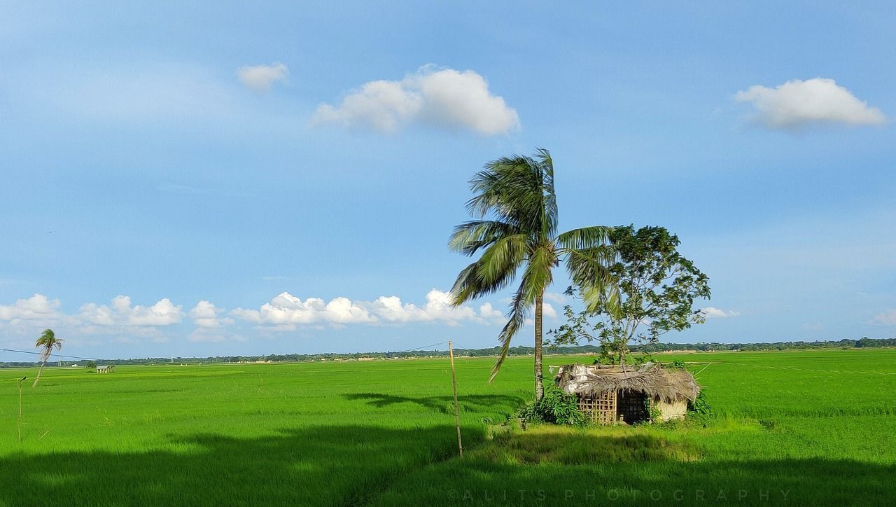 1280x724 Village Trees House