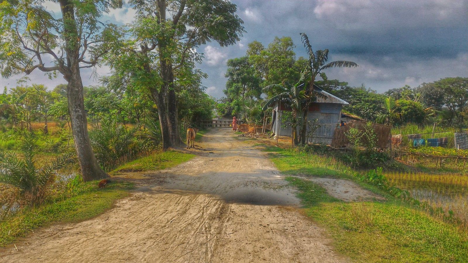 1600x900 bangladeshi village photography