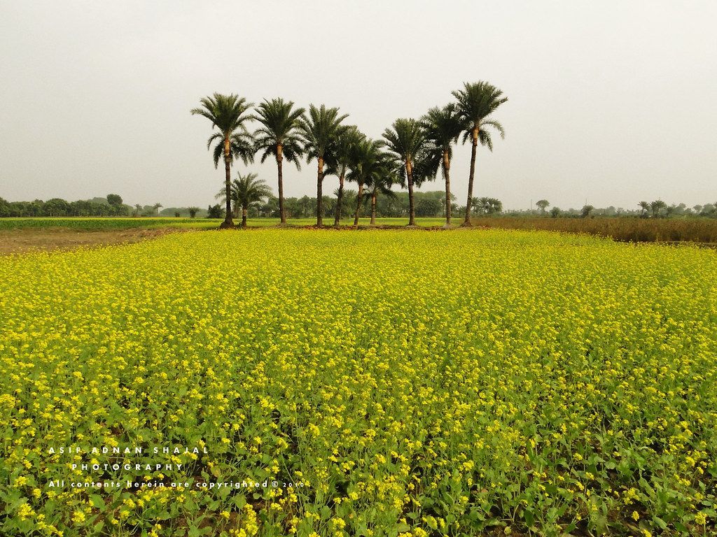 1024x768 Village of BANGLADESH. E x p l o r e d