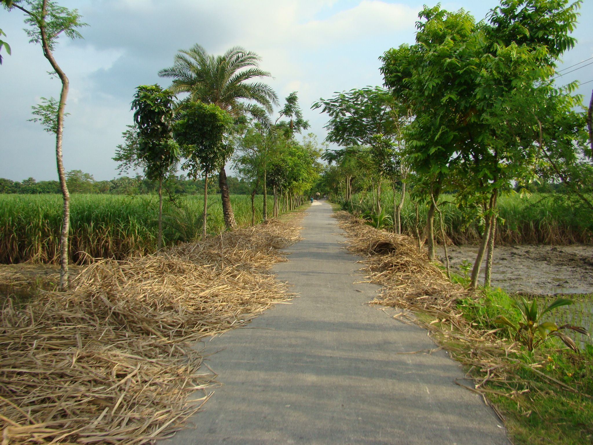 2048x1536 Village Bangladesh