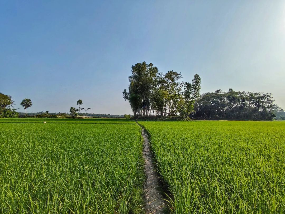 1080x812 Bangladesh - বাংলাদেশ