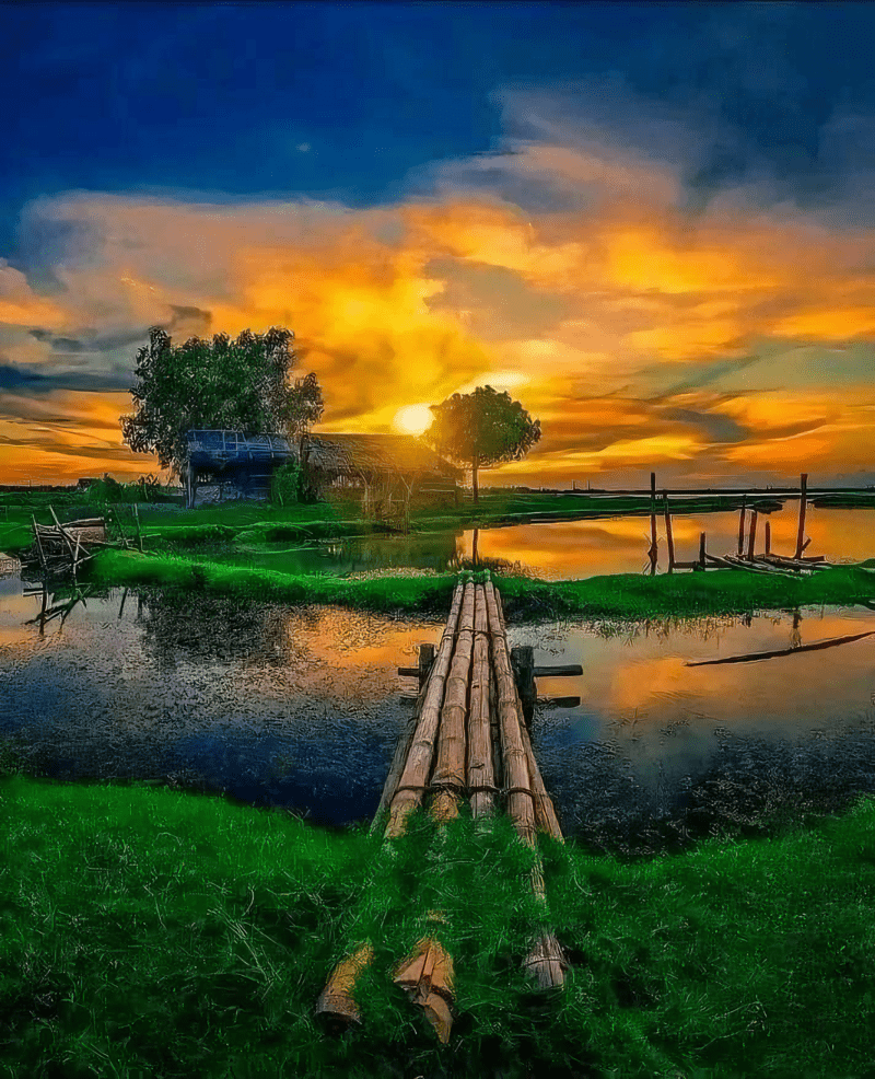 800x986 Beau Paysage De Village Du Bangladesh