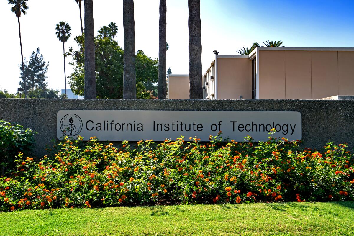 Caltech Wallpapers - Top Free Caltech Backgrounds - WallpaperAccess