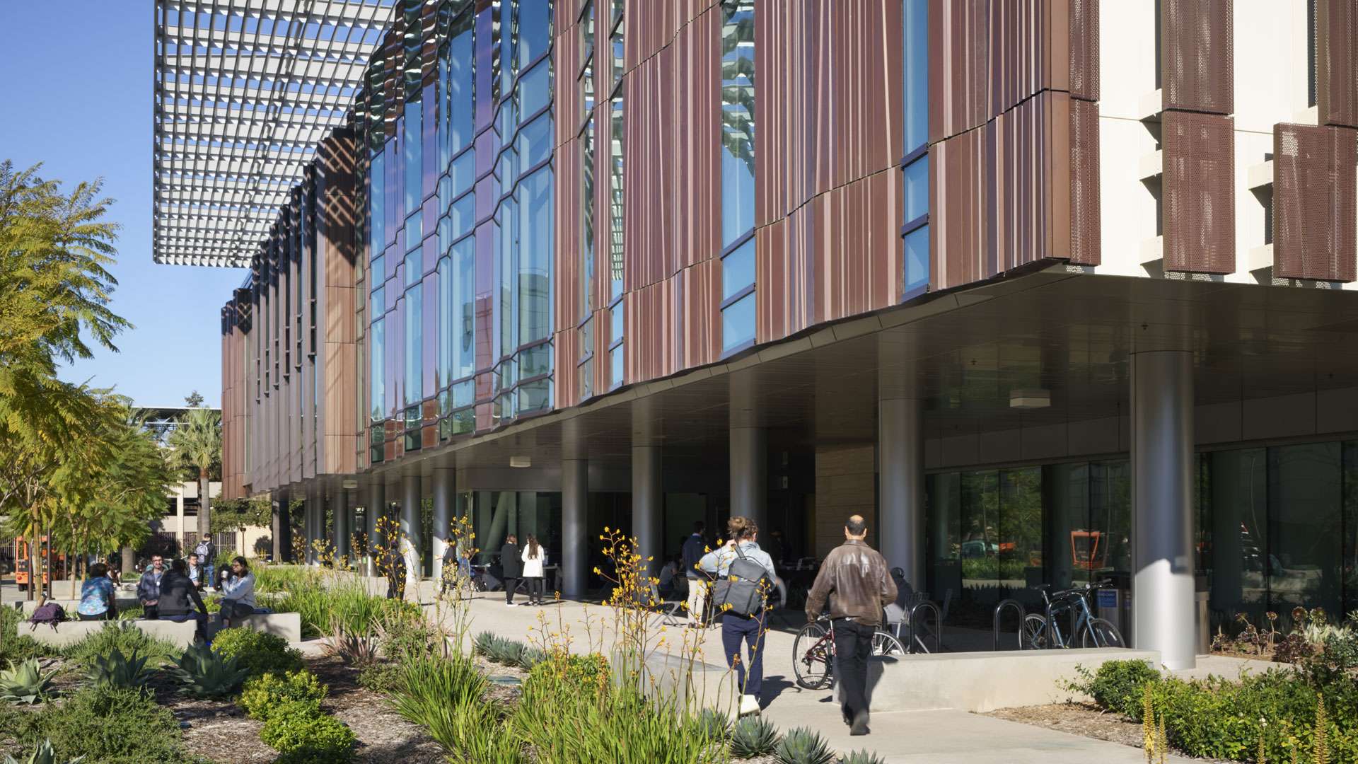 1920x1080 Caltech Chen Neuroscience Research