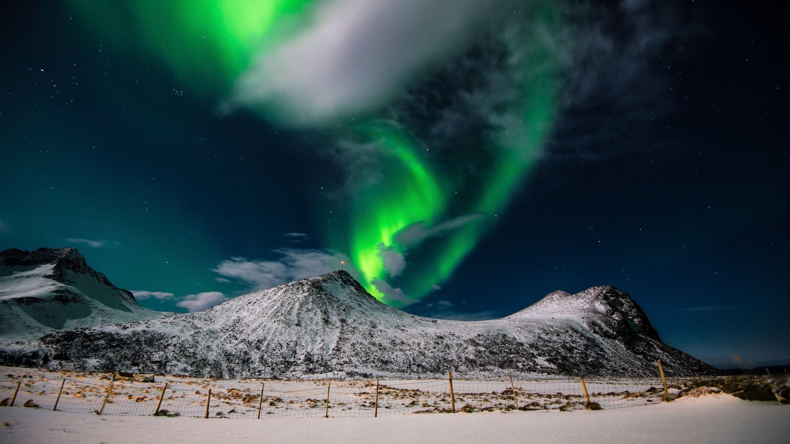 2560x1440 Aurora Borealis Northern Light desktop PC and Mac wallpaper
