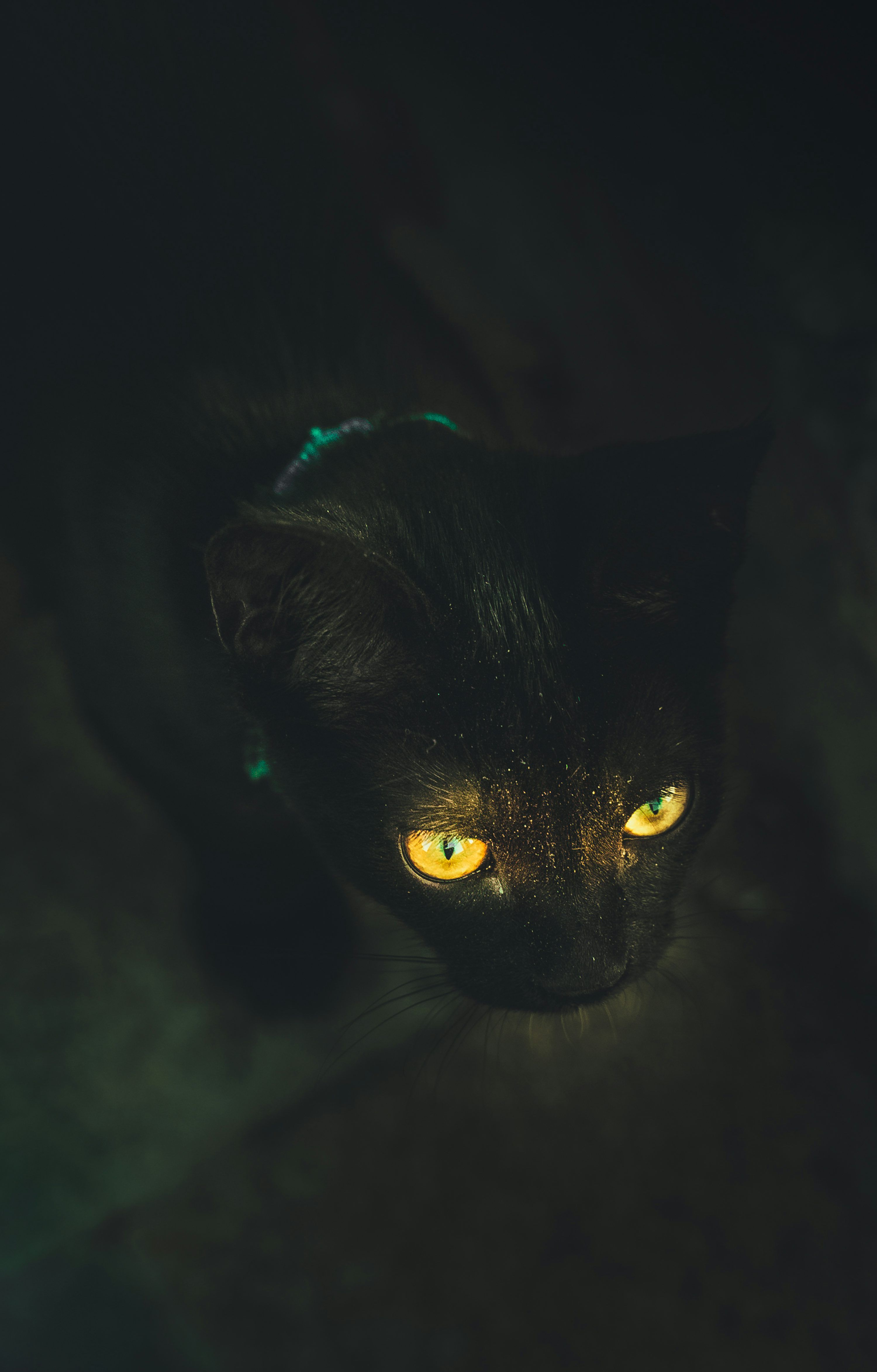 3000x4693 Bad Luck Picture [HD]. Download