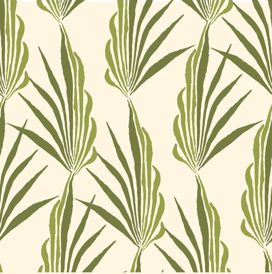 1080x1087 Areca Palm Leaf Wallpaper
