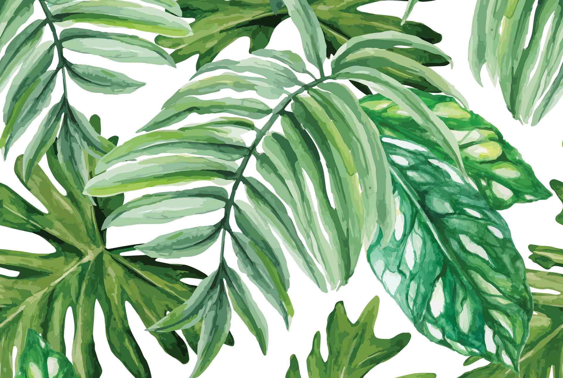 1920x1292 Aesthetic Palm Leaves Wallpaper