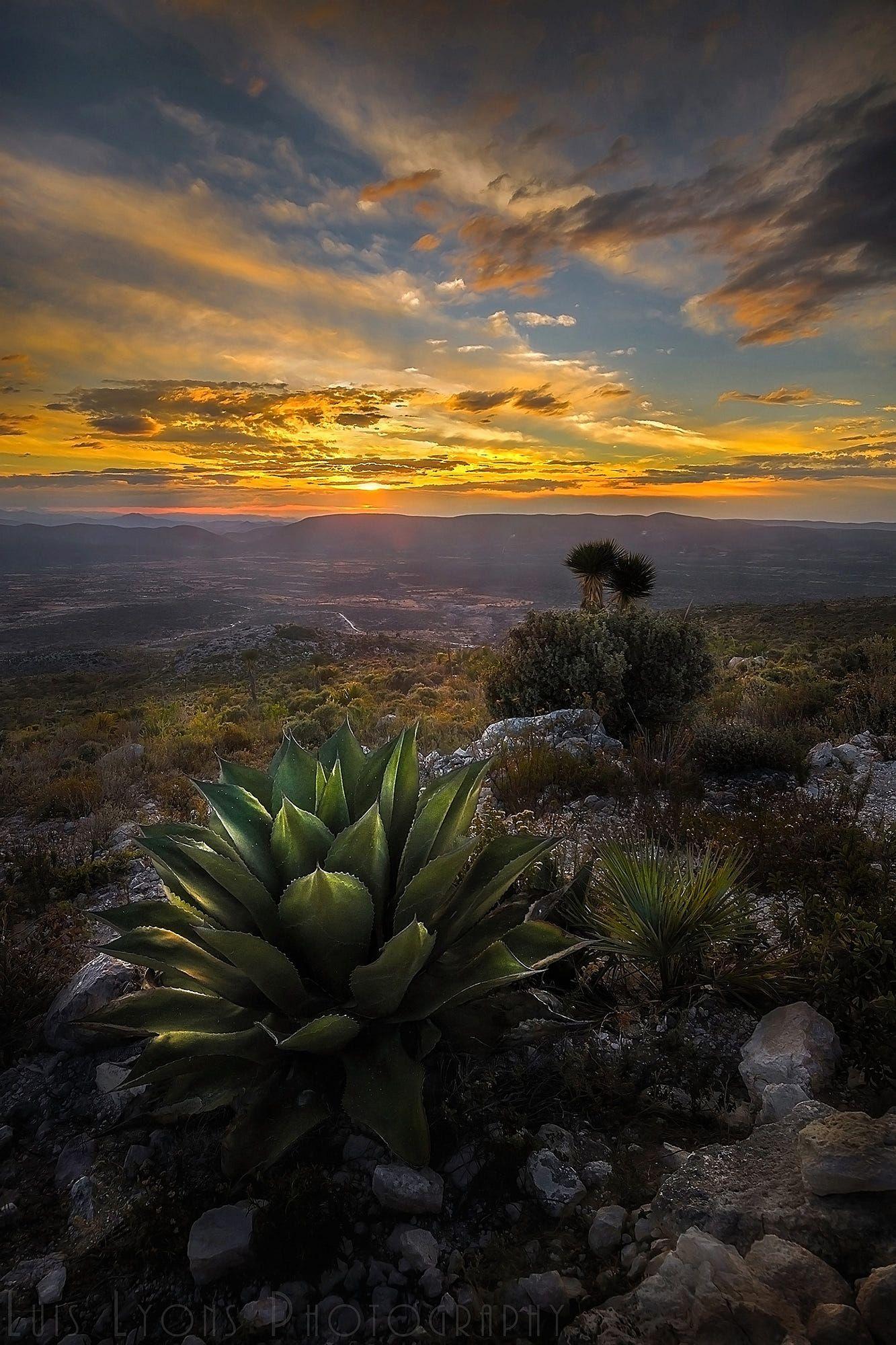 mexico landscape pictures        
        <figure class=