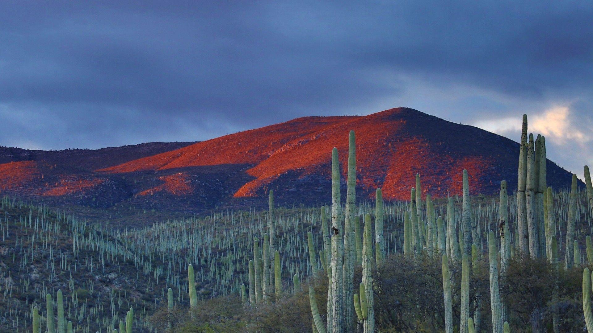 Mexico Landscape Wallpapers - Top Free Mexico Landscape Backgrounds 