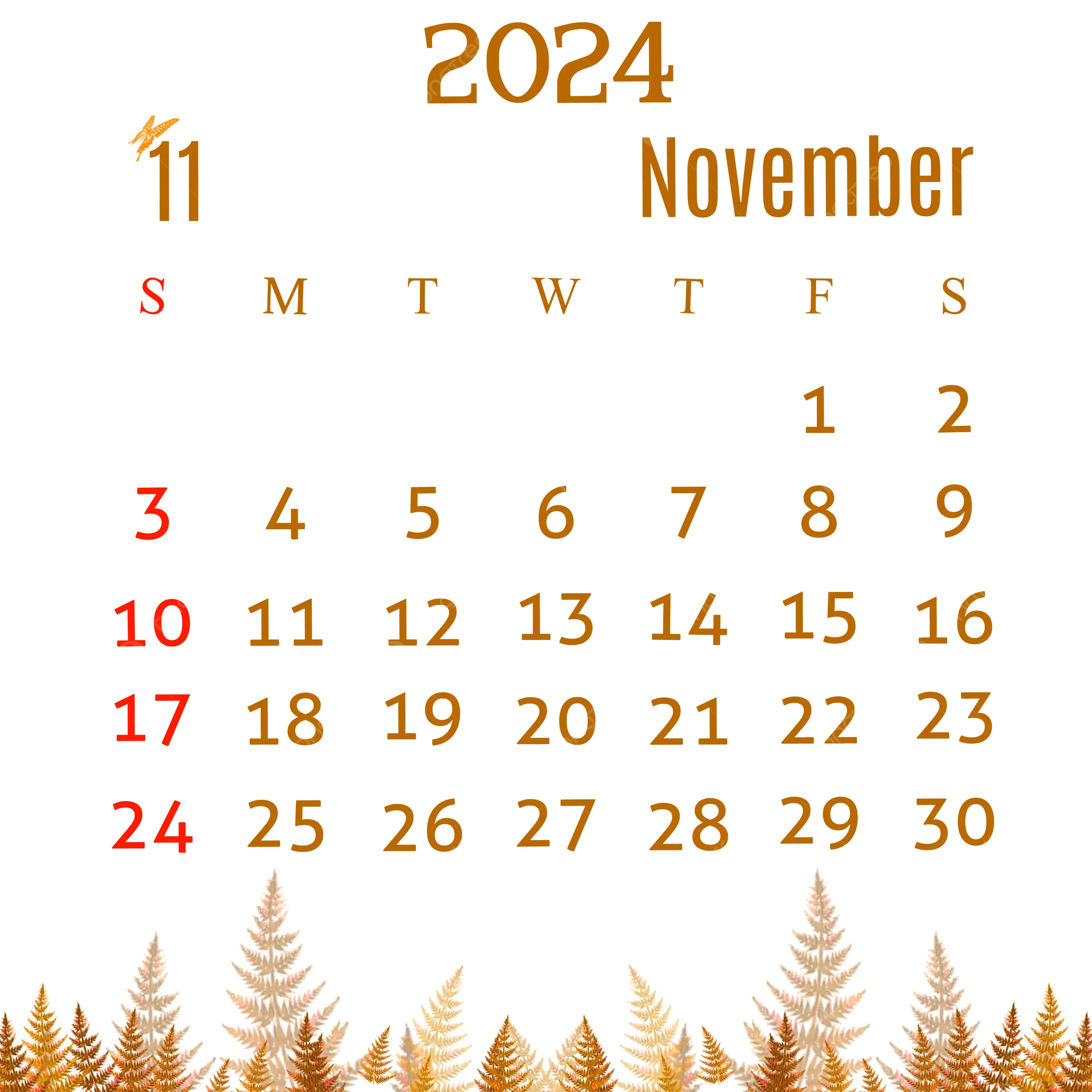 2500x2500 November 2024 Calendar Orange