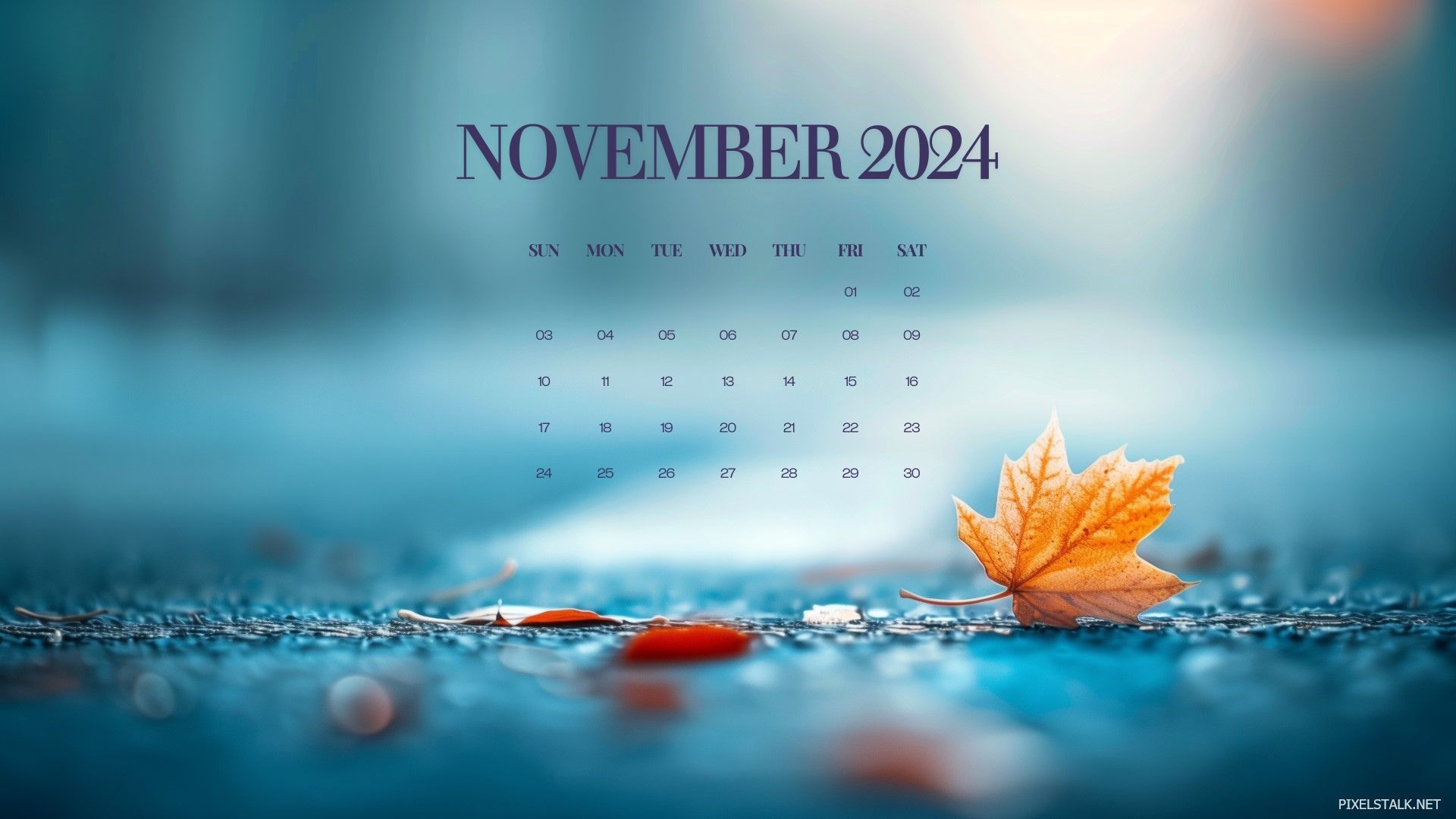1920x1080 November 2024 Calendar Desktop