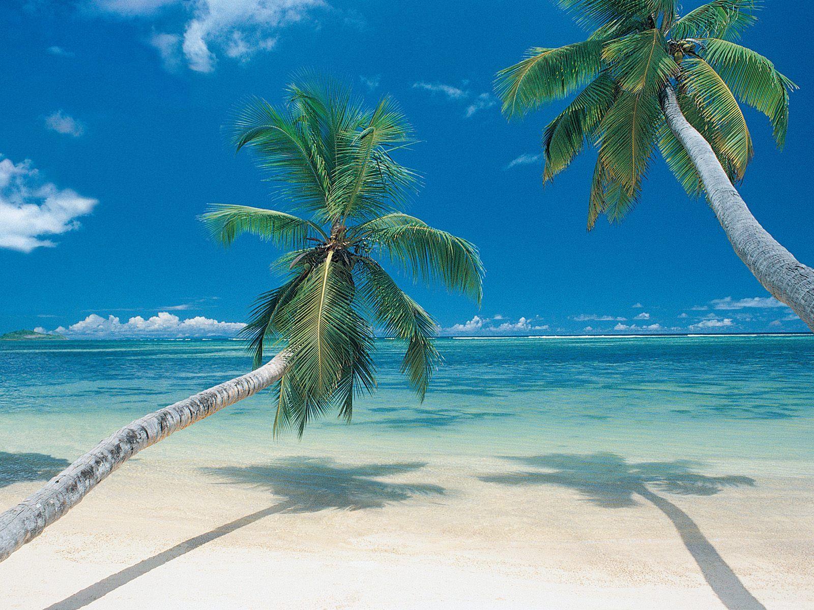 1600x1200 Free download The Best Surfing Beaches in Mexico TEAM SURF