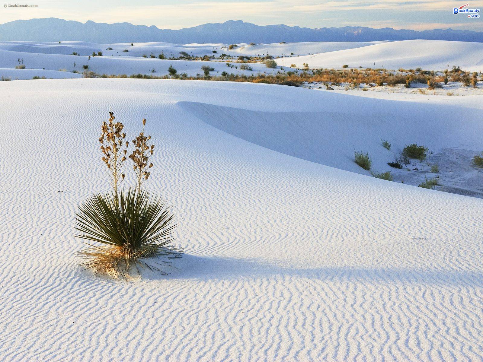 1600x1200 White Sands Wallpaper