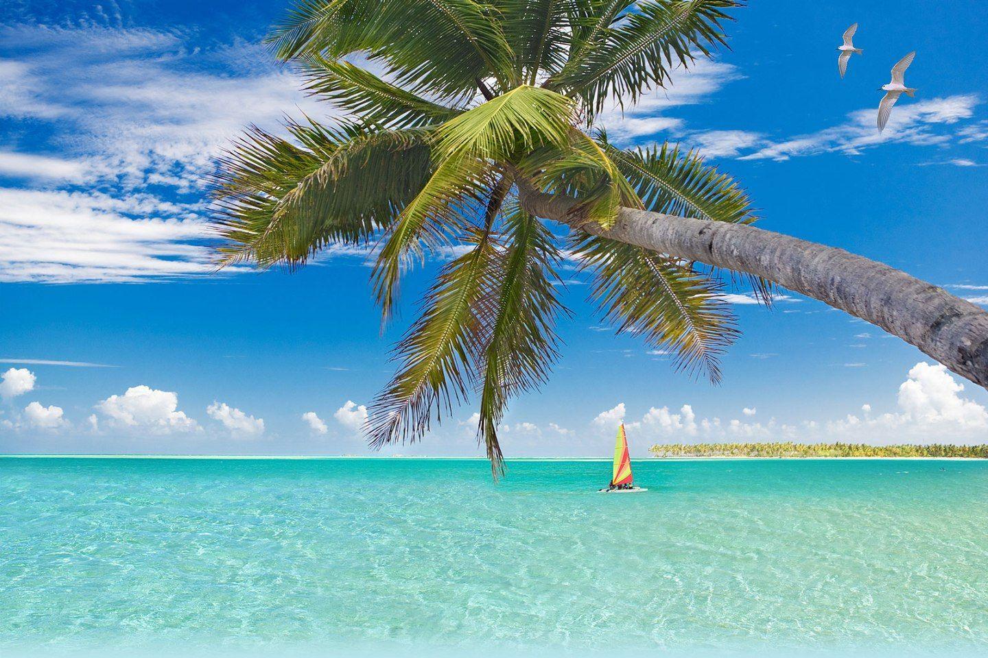 1440x960 Cozumel Wallpaper