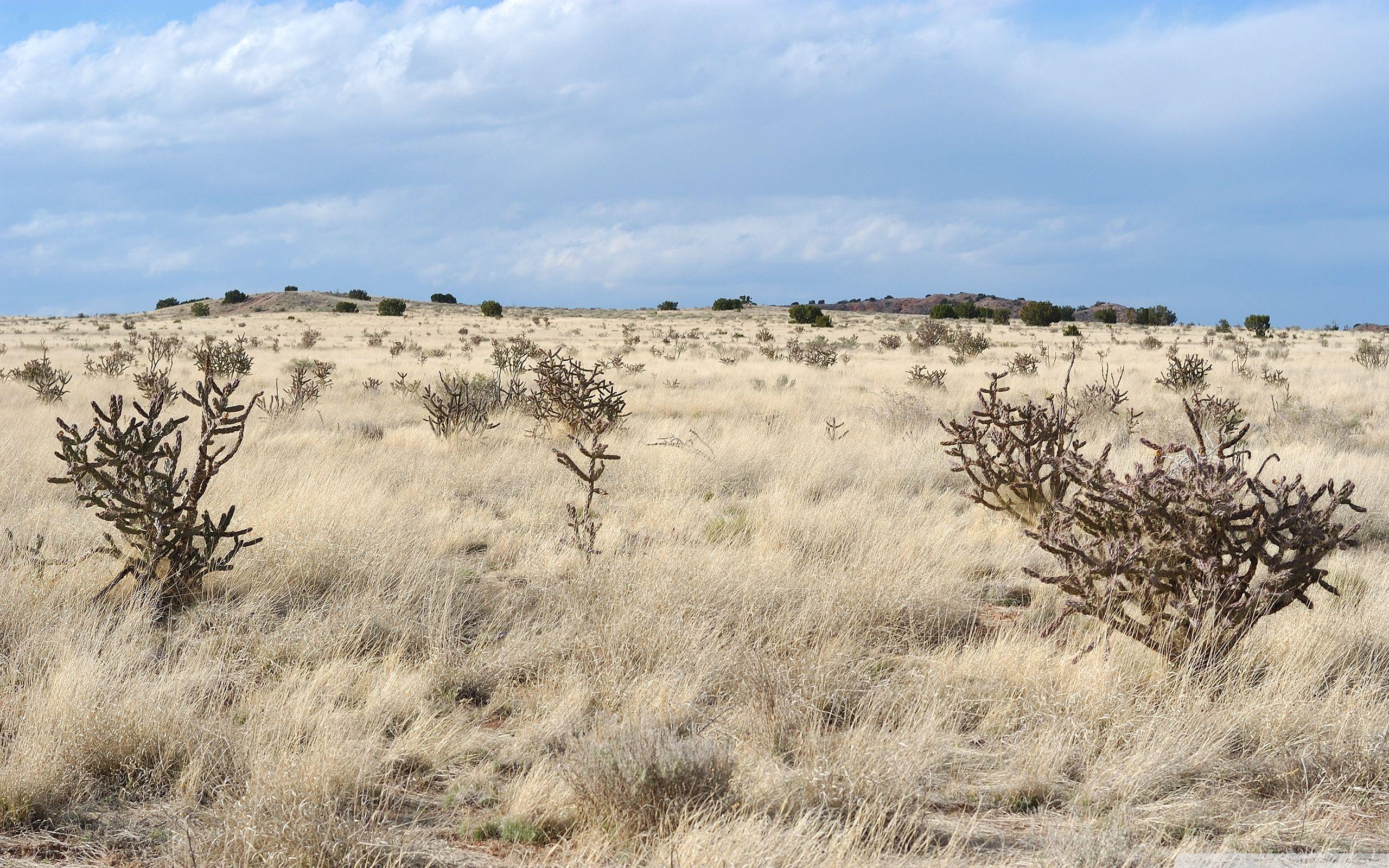 2560x1600 New Mexico Wallpaper 2060.36 Kb