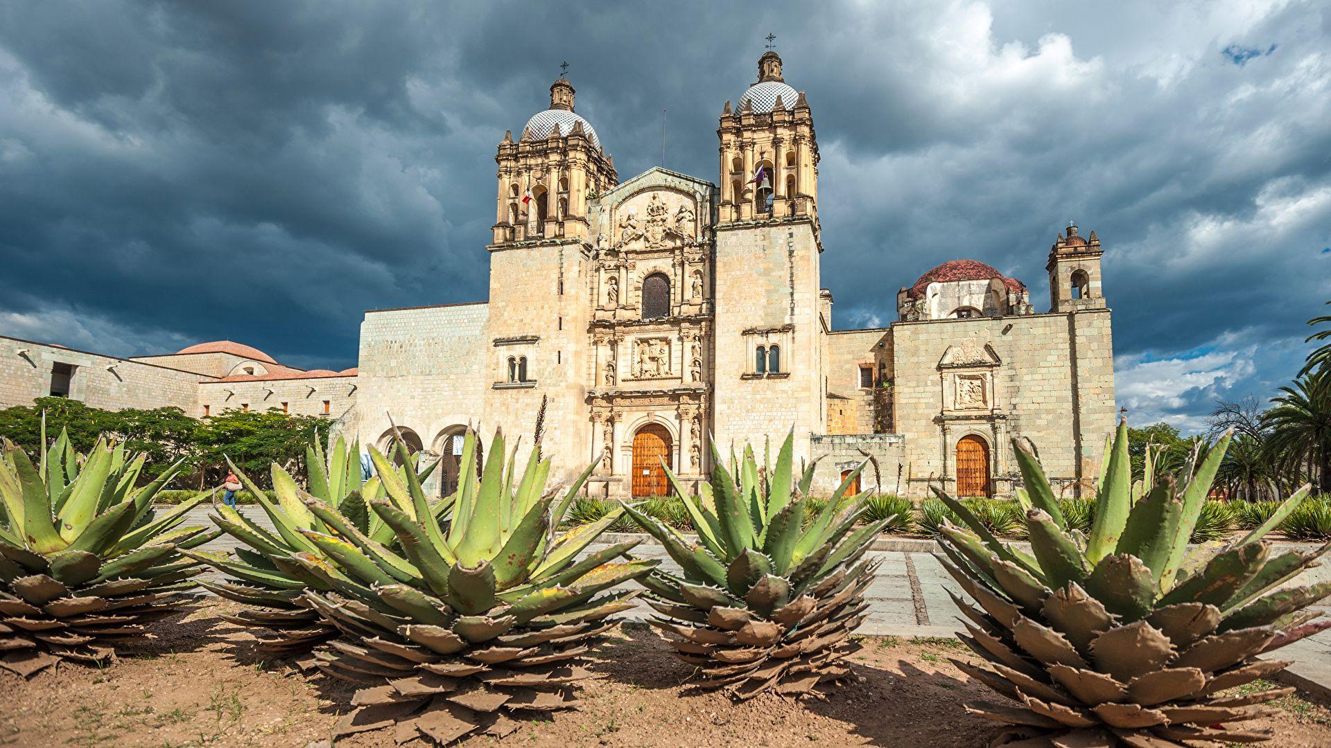 1920x1080 Photos Church Mexico Santo Domingo Oaxaca Temples Cactuses