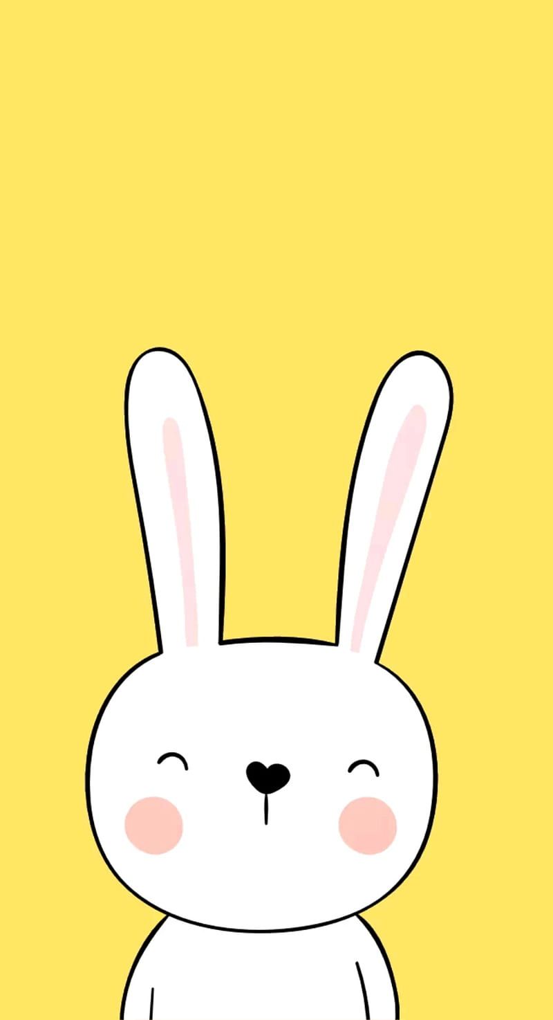 800x1474 Rabbit, amoled, bunny, life, love, pets, HD phone wallpaper